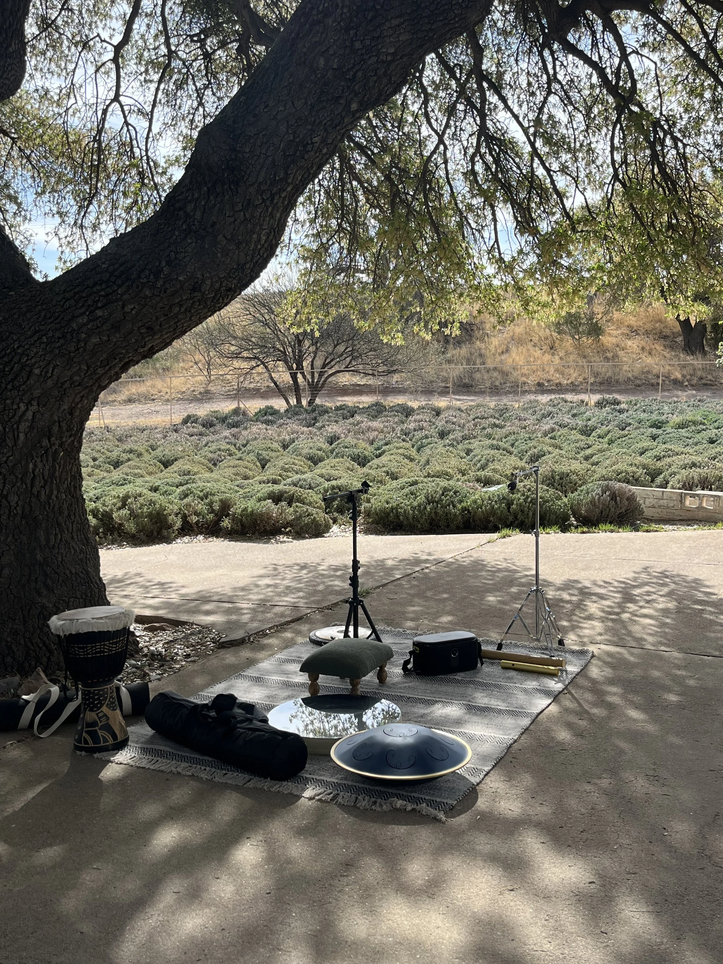 Spring Wellness Retreat