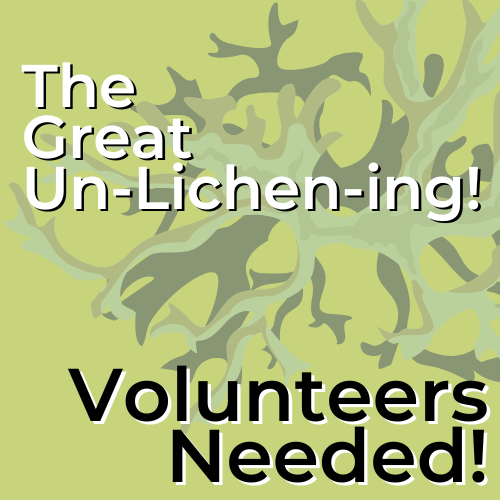 Volunteers Needed | The Great Un-Lichen-ing!