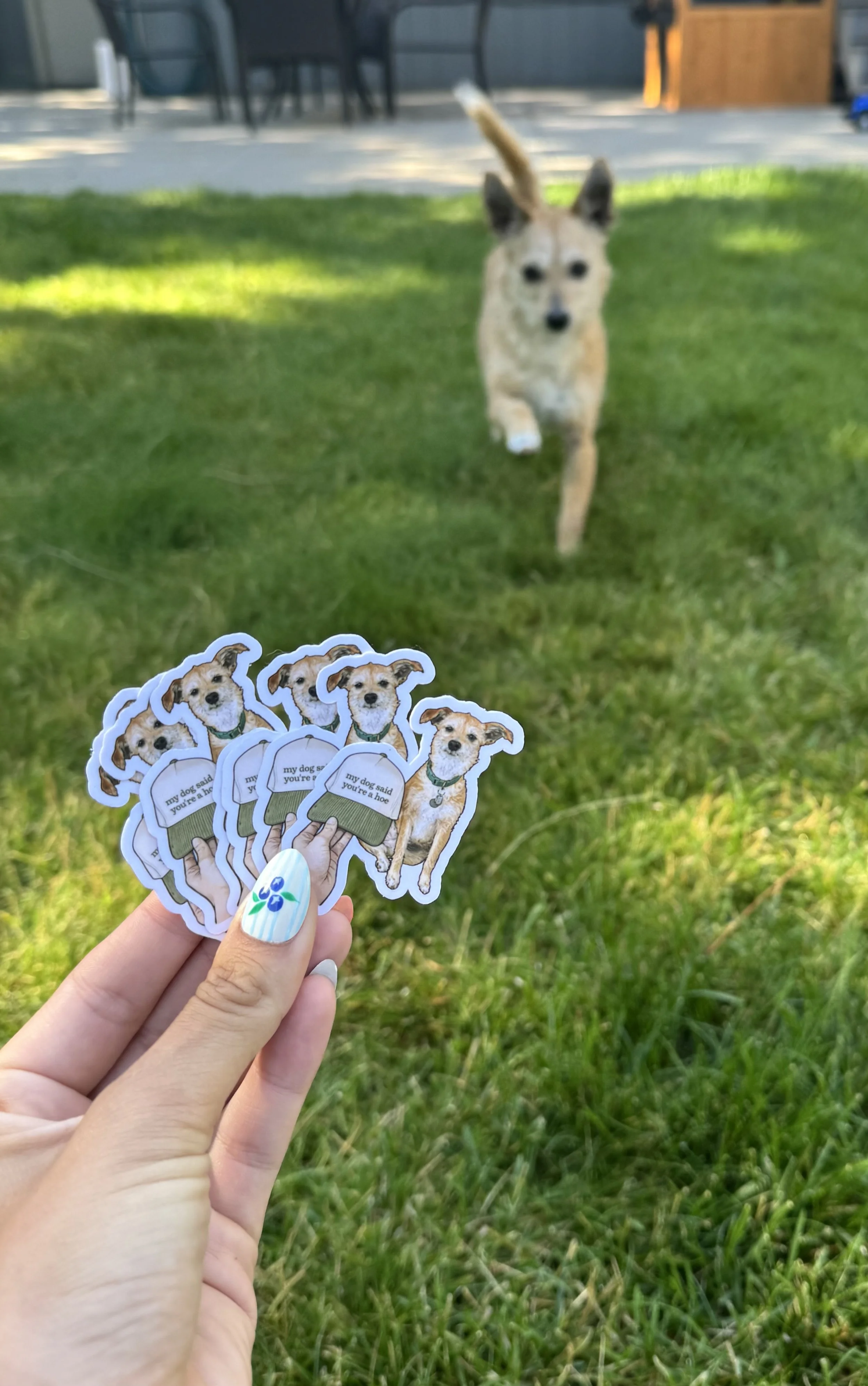 IMG_0025.jpeg