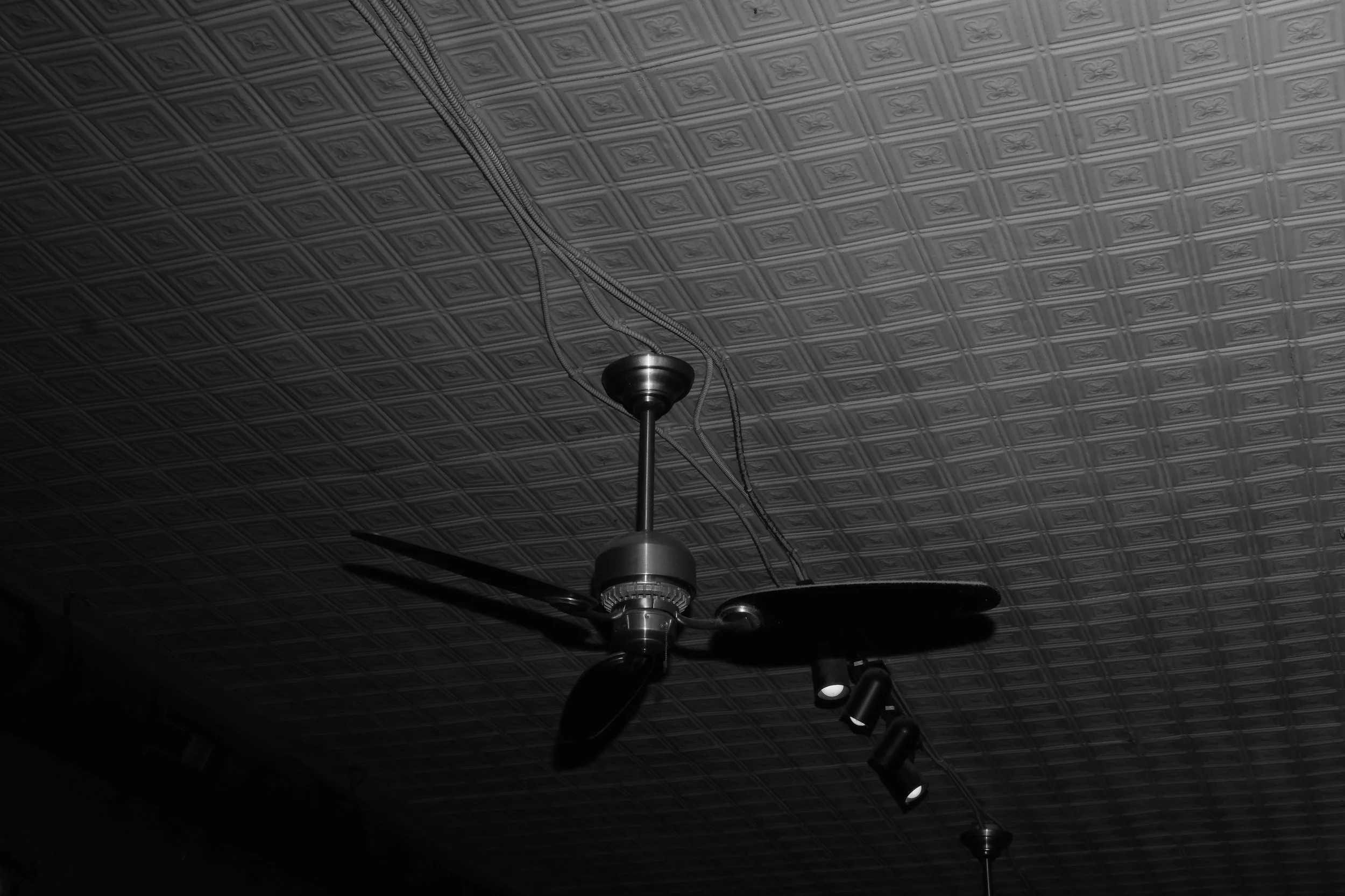 DSCF4486.JPG