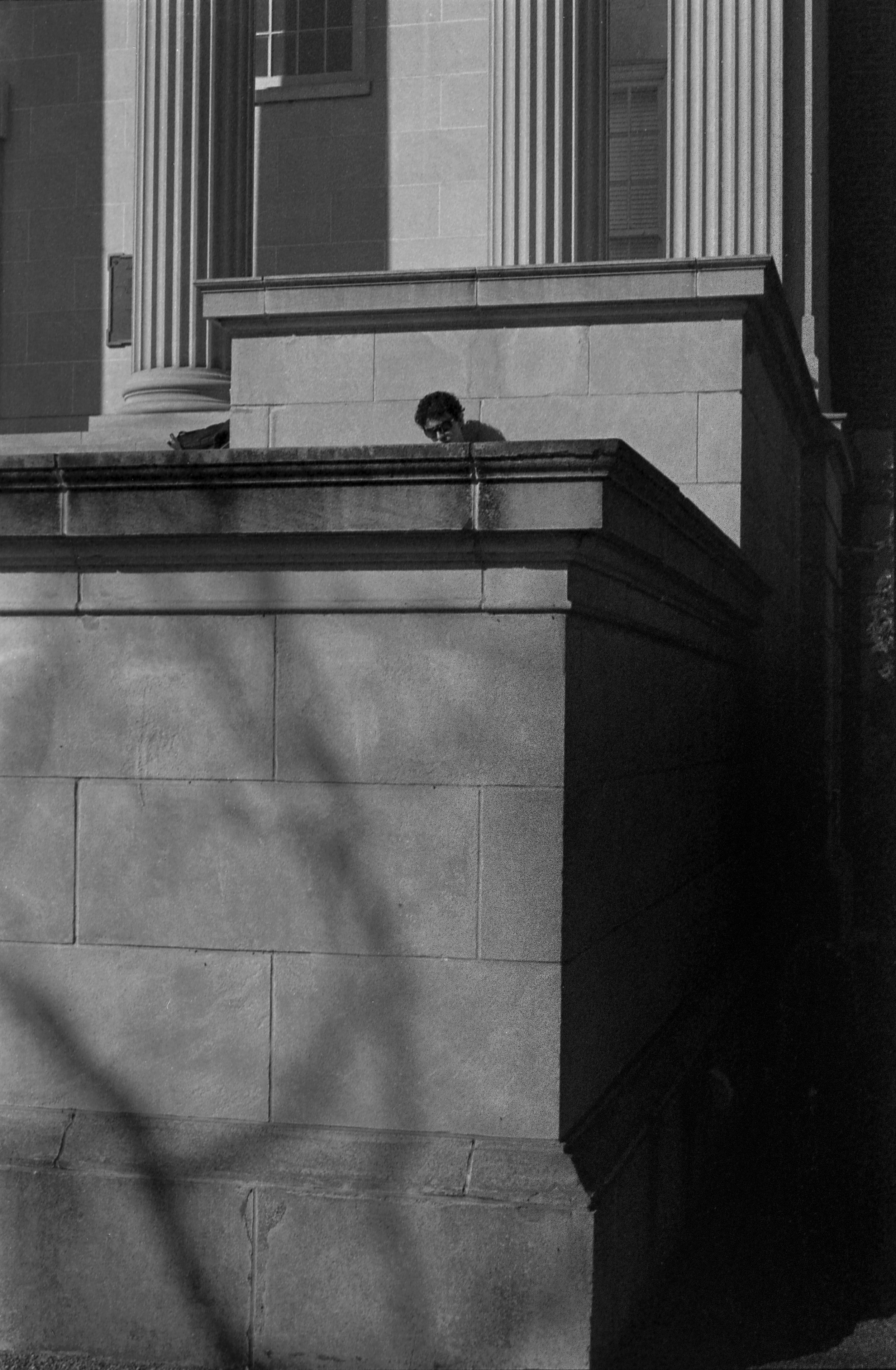 maziyar098 copy.jpg