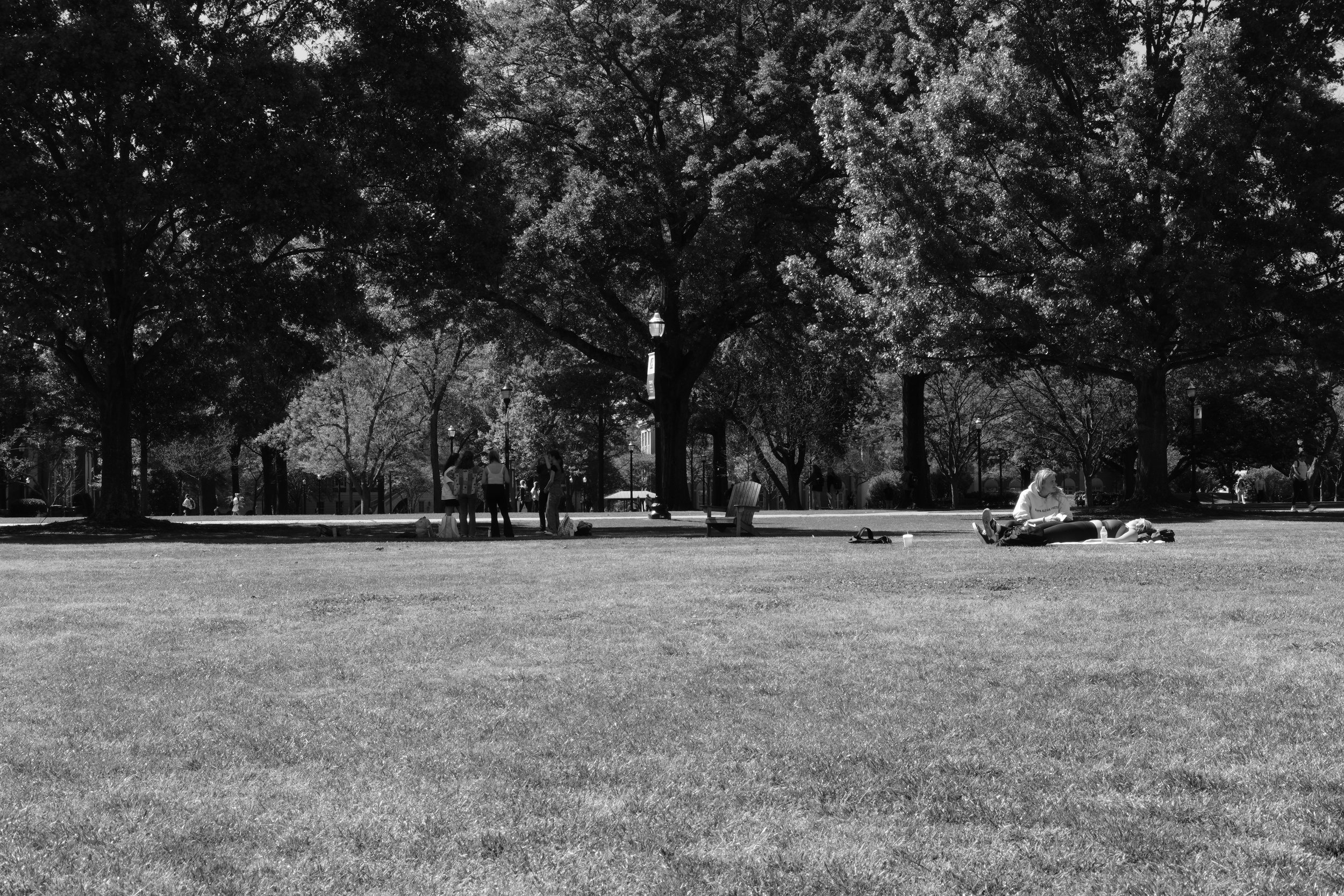 DSCF5481.jpg