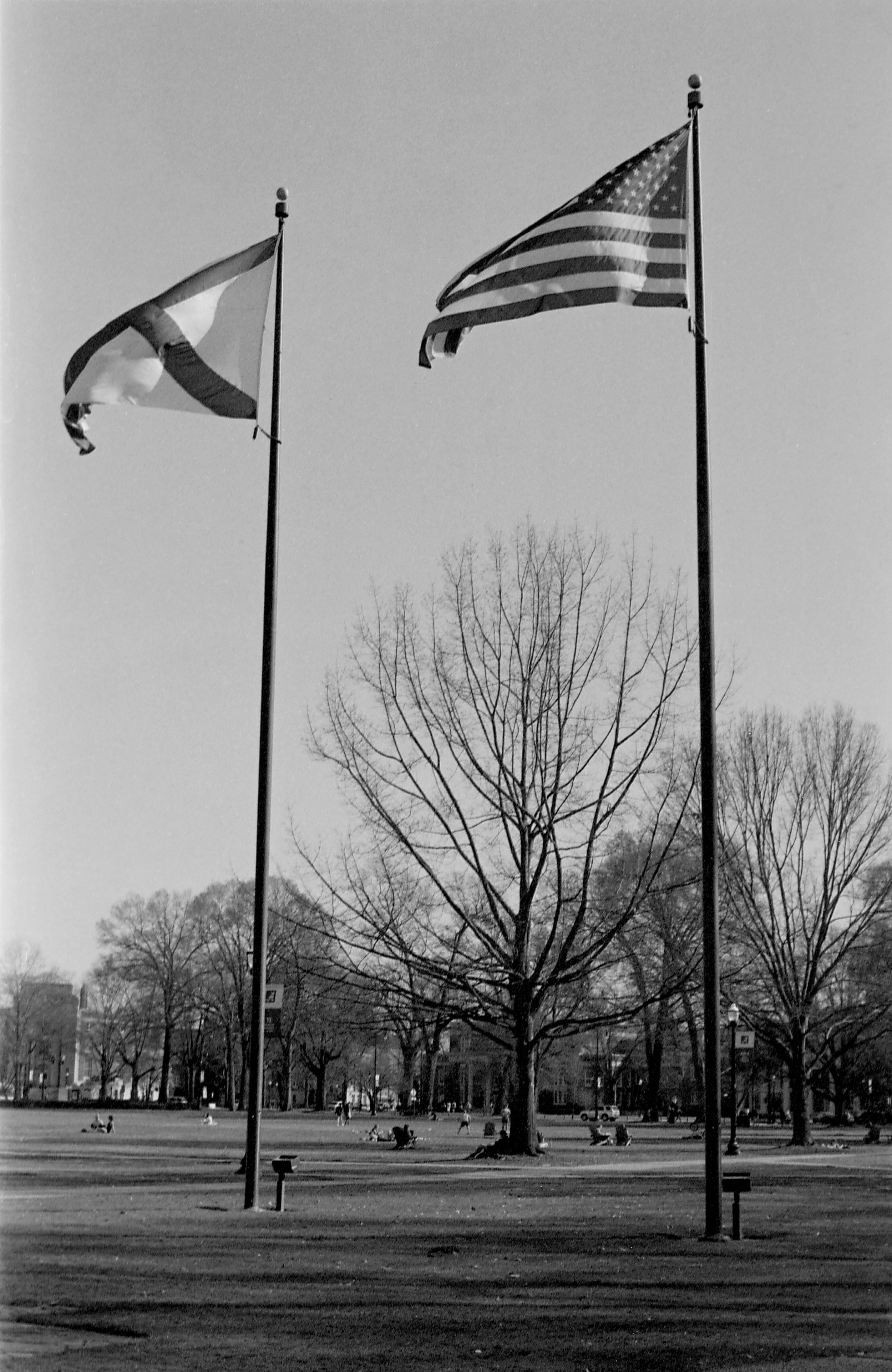 mm127 copy 2.jpg