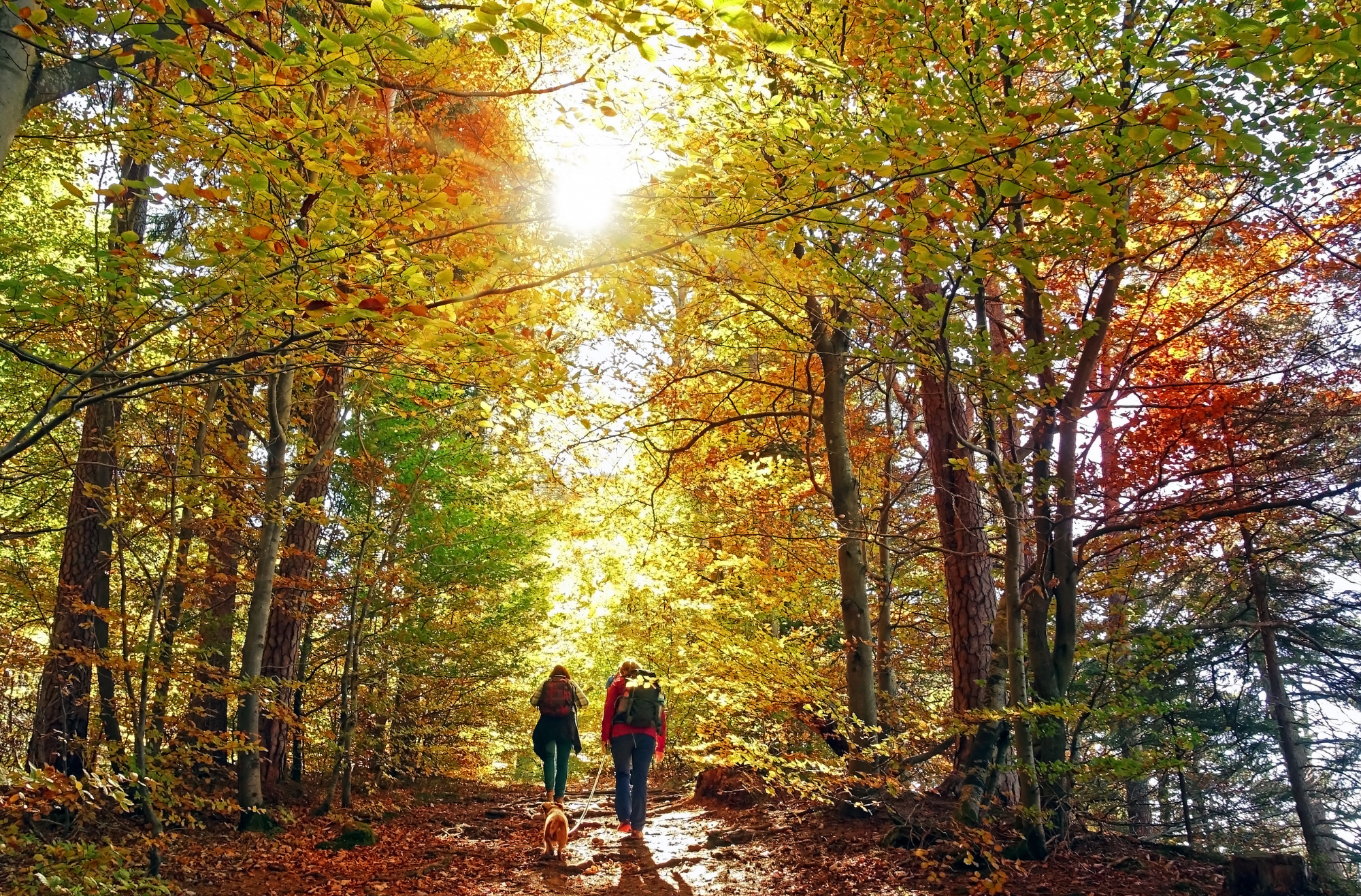 Adventure & Outdoors | New Brunswick