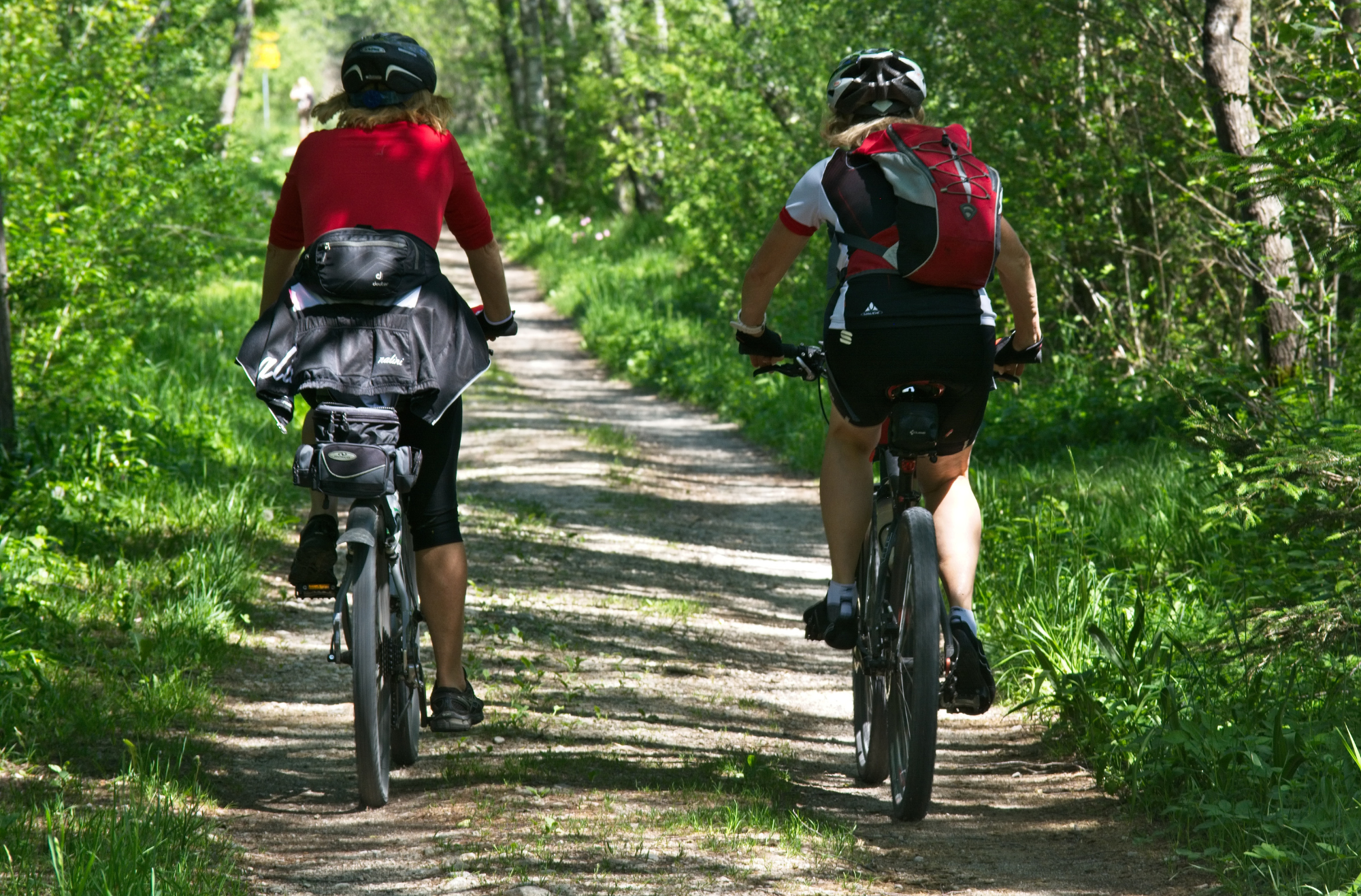 The Best Cycling Trails in New Brunswick