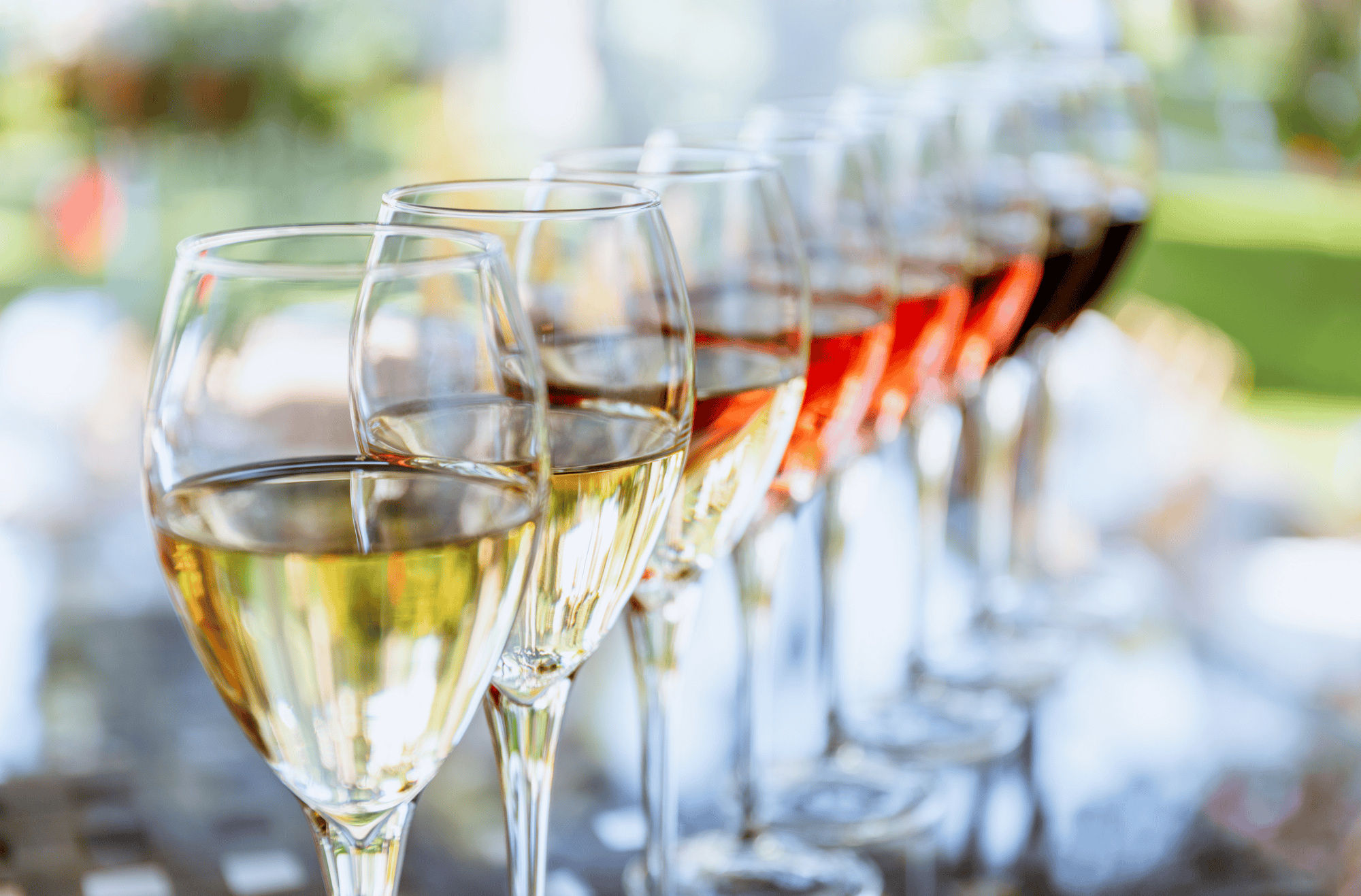 Top Wineries in Newfoundland and Labrador