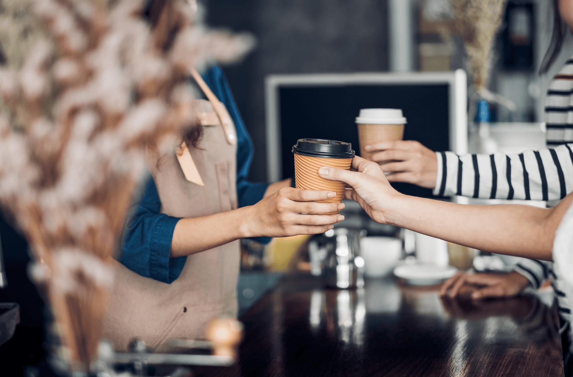 Top Coffee Shops in Newfoundland and Labrador
