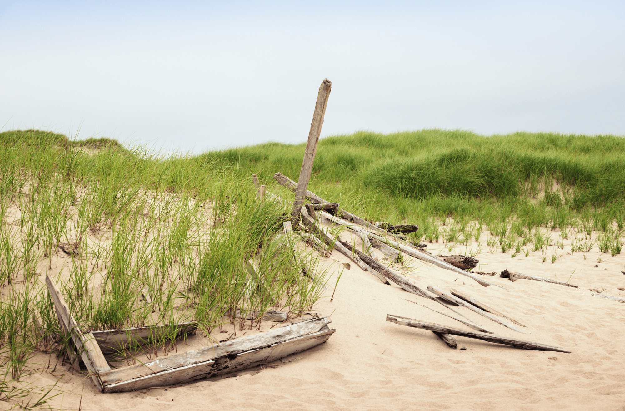 Sable Island National Park Reserve – A remote and untouched landscape, known for its wild horses, sand dunes, and pristine beaches, perfect for those seeking solitude and adventure.