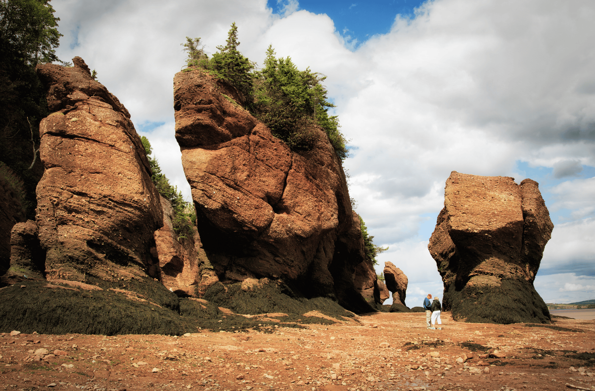 Hopewell Rocks Provincial Park