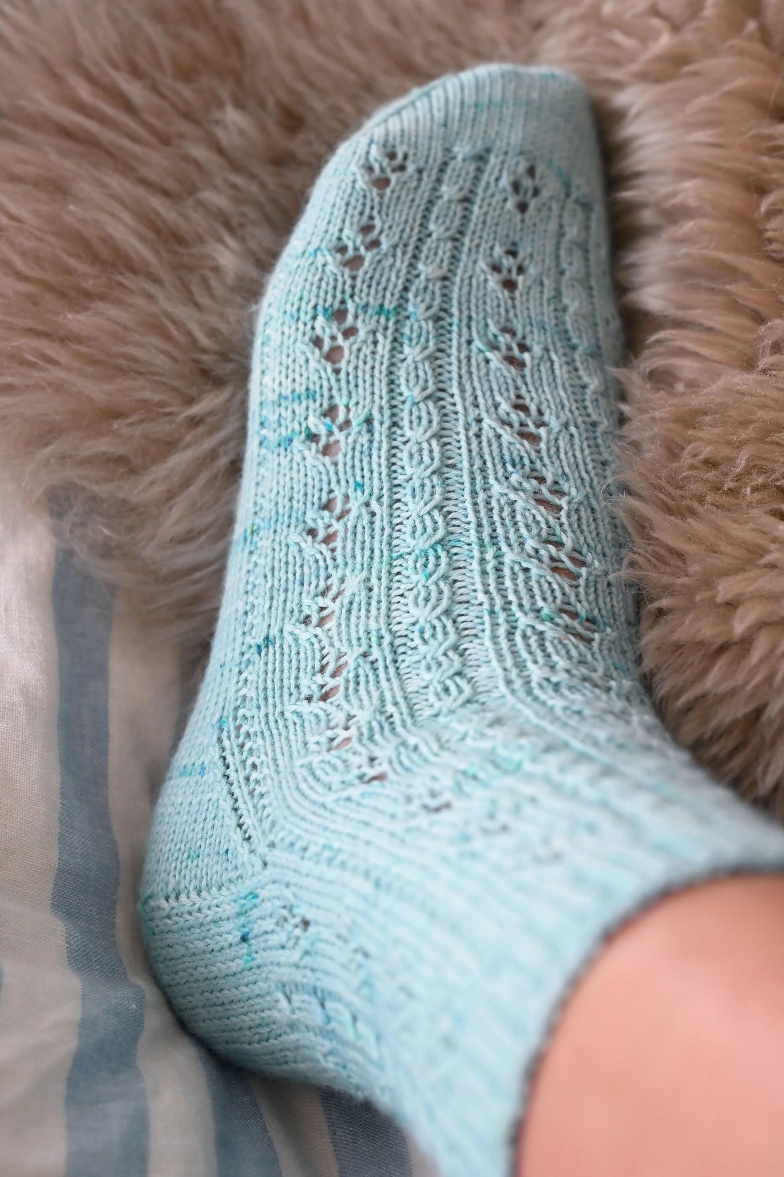 lace 13.jpg