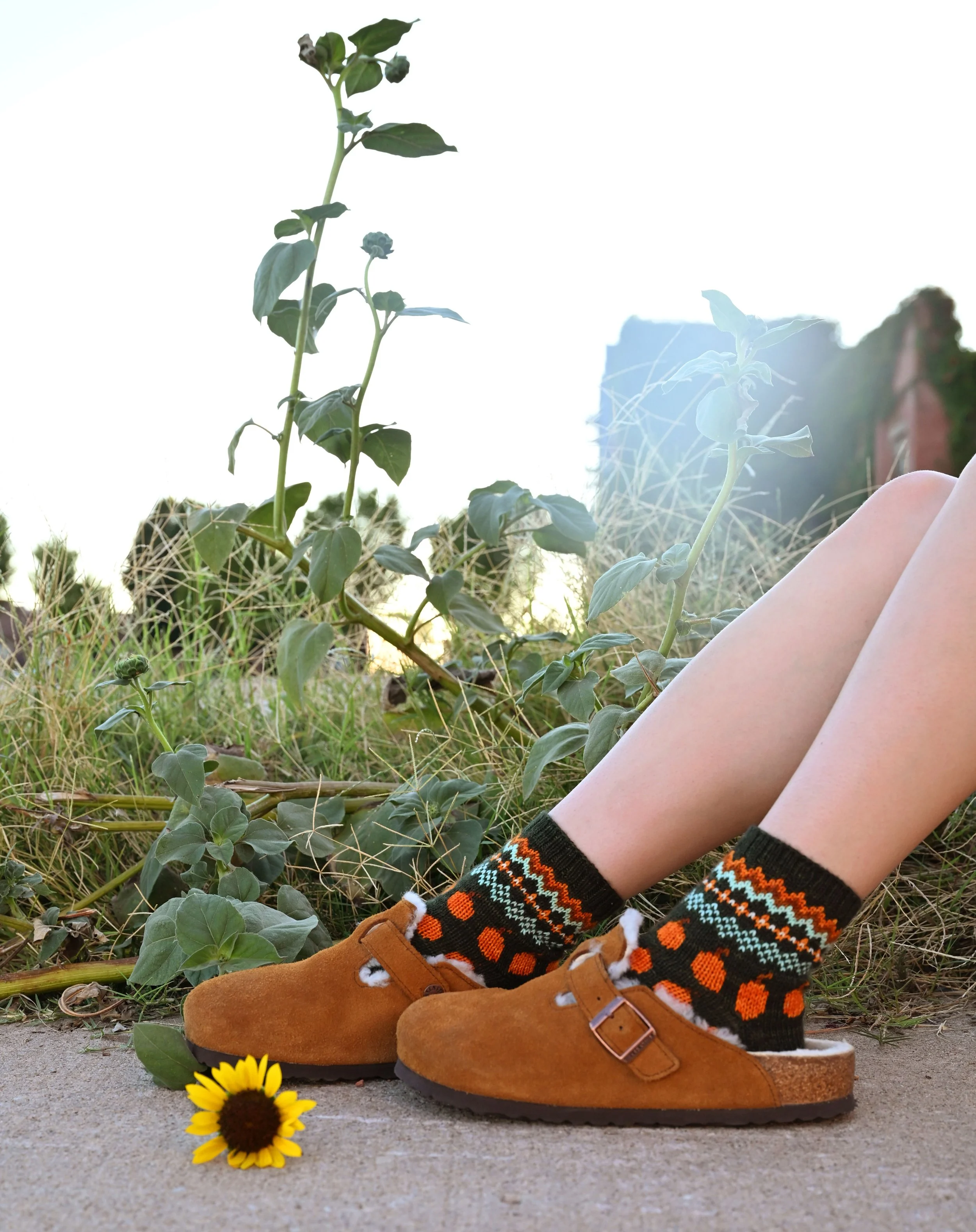 Fair Isle Pumpkins 10.jpg
