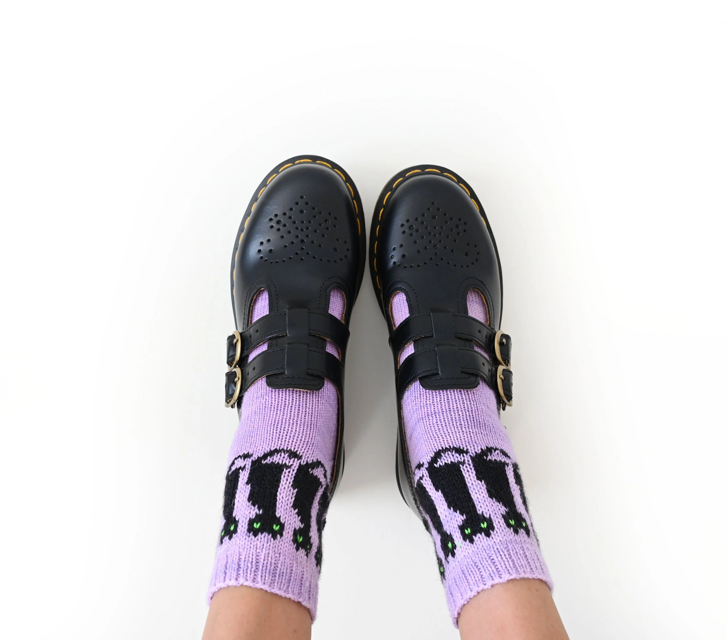 Black Cats 6.jpg