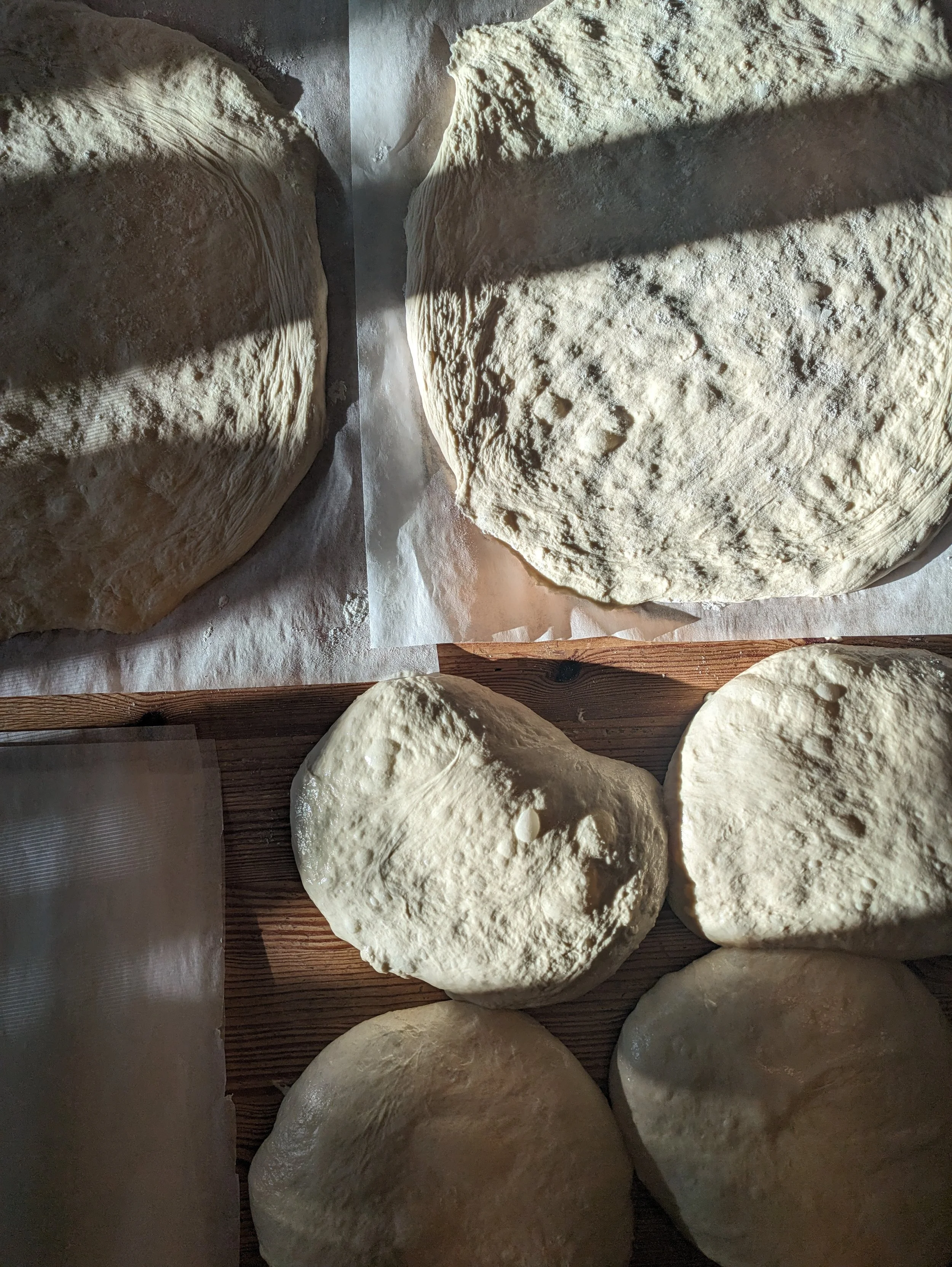 Sourdough Pizza Dough