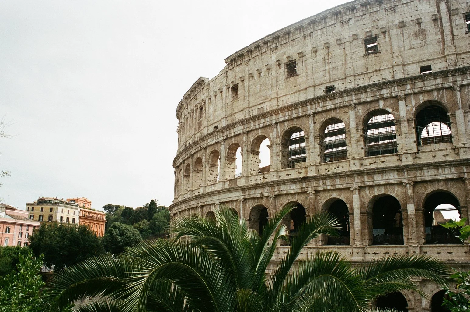 C49C0360-6B2D-4E55-986E-01178C1B9242 copy.JPG