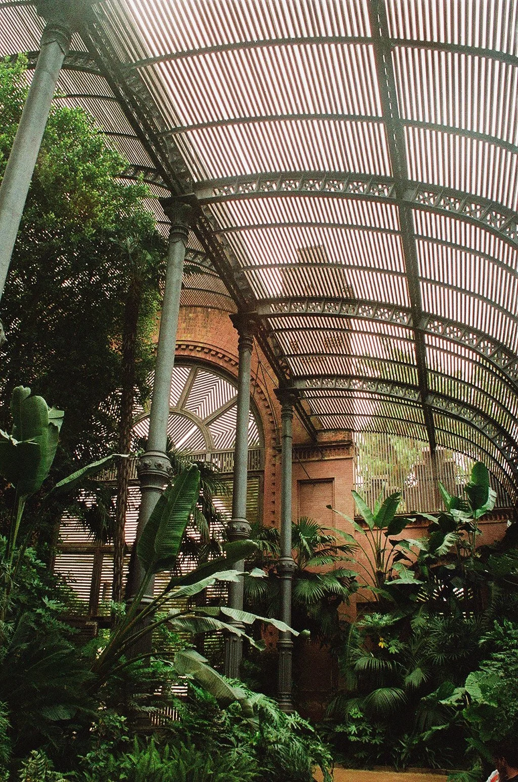 000024320036.JPG