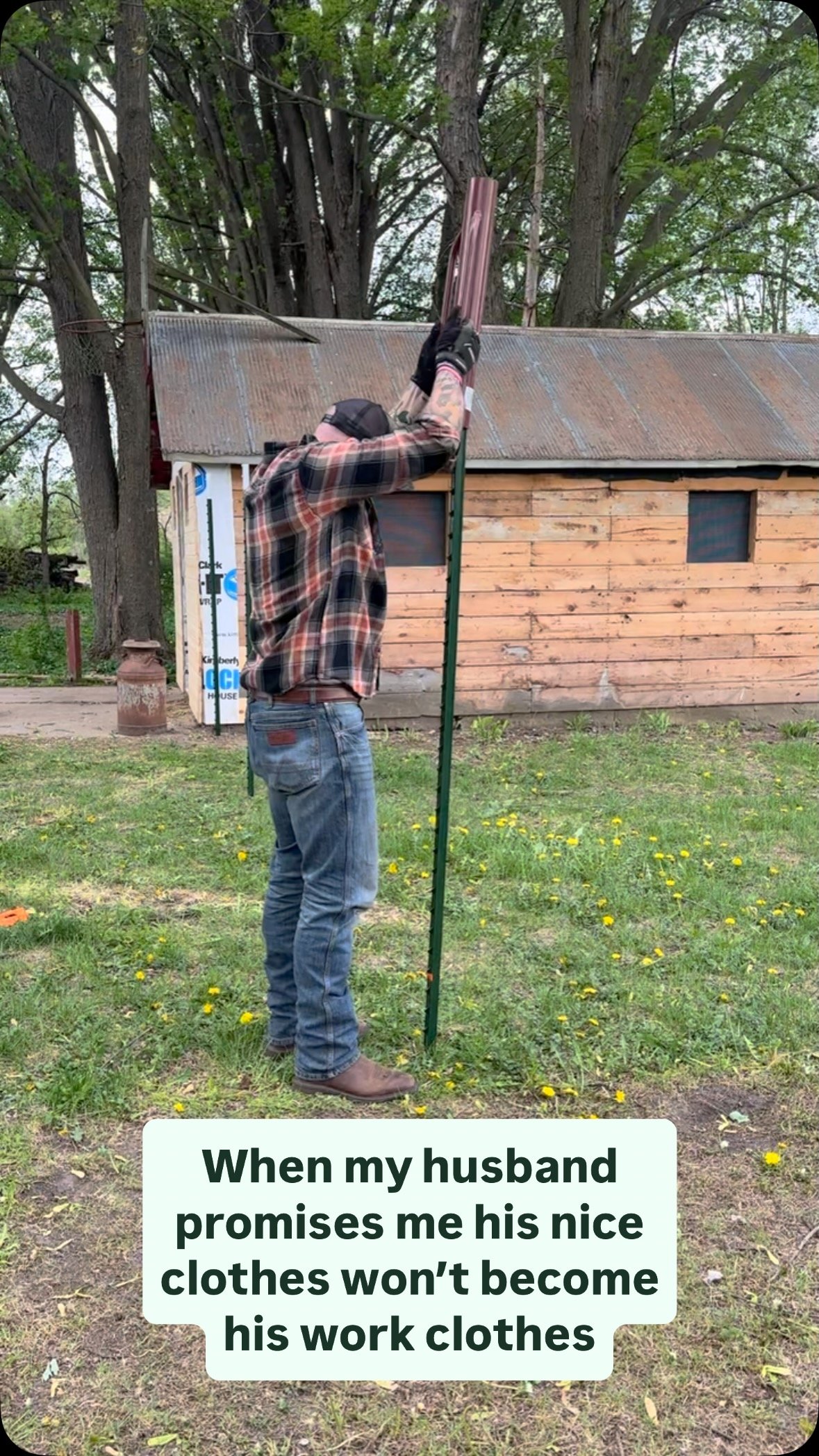 π PSA: @wrangler jeans are on sale at @fleetfarmofficial again ππ»
#workingman #homestead #farmlifebestlife #homesteading #homesteader #homesteadlife
