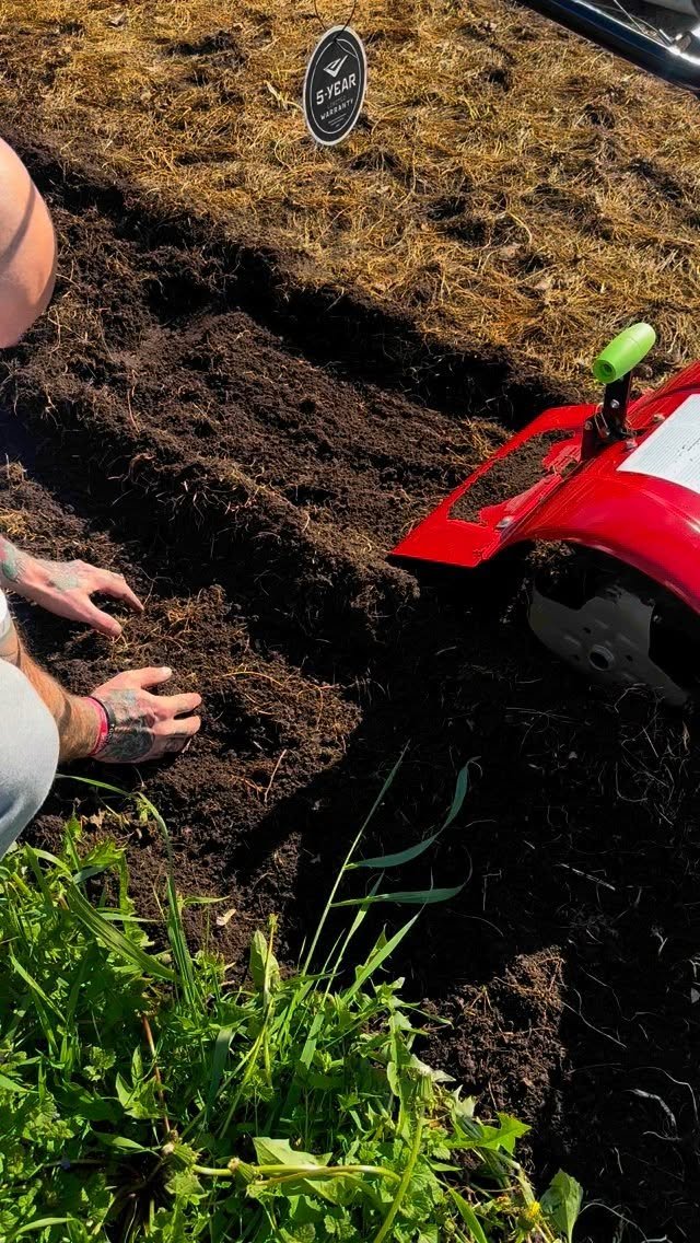 β οΈ Planting update π±
We have been busy planting in this luscious Wisconsin soil and have already started seeing babies sprout up!
Here’s what we’ve got in the ground so far:
π
tomatoes
π₯ cucumbers
π§
onion
π eggplant
π«πΆοΈ peppers