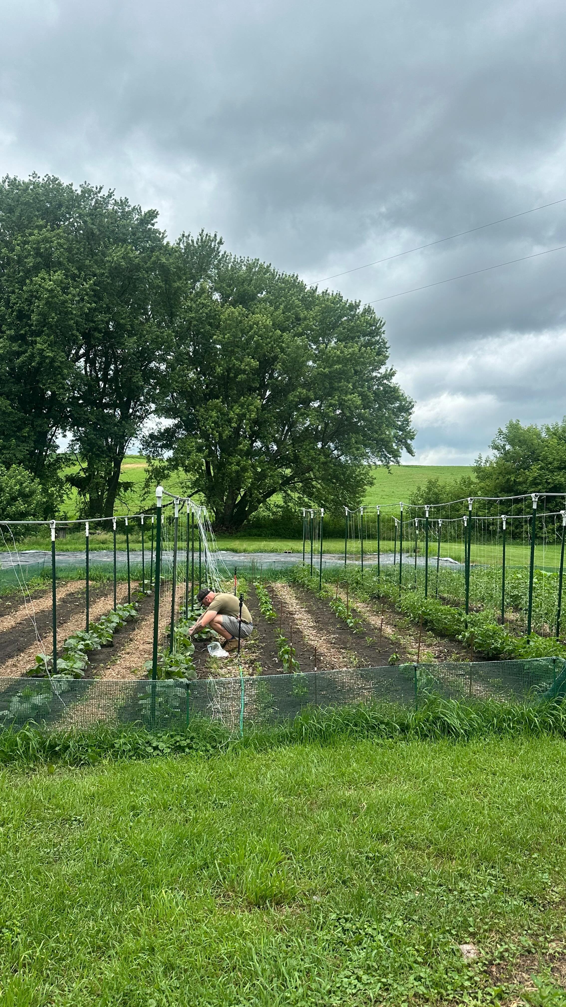 Crop Update! π₯π«π½π
π₯π§
π«π
Everything is growing thanks to all the rain. We are anticipating our first harvest to be in late July and hope to see you all at the Seymour Farmer’s market very soon βΊοΈ
#eauclaire #eauclairewi #marketgarden #m