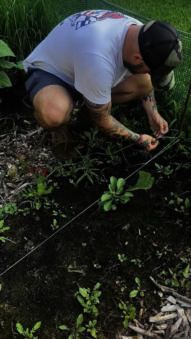 #factfriday is back! with Farmer Matt π§πΌ‍πΎ
#marketgarden #marketgardening #regenerativefarming #homestead #homesteading