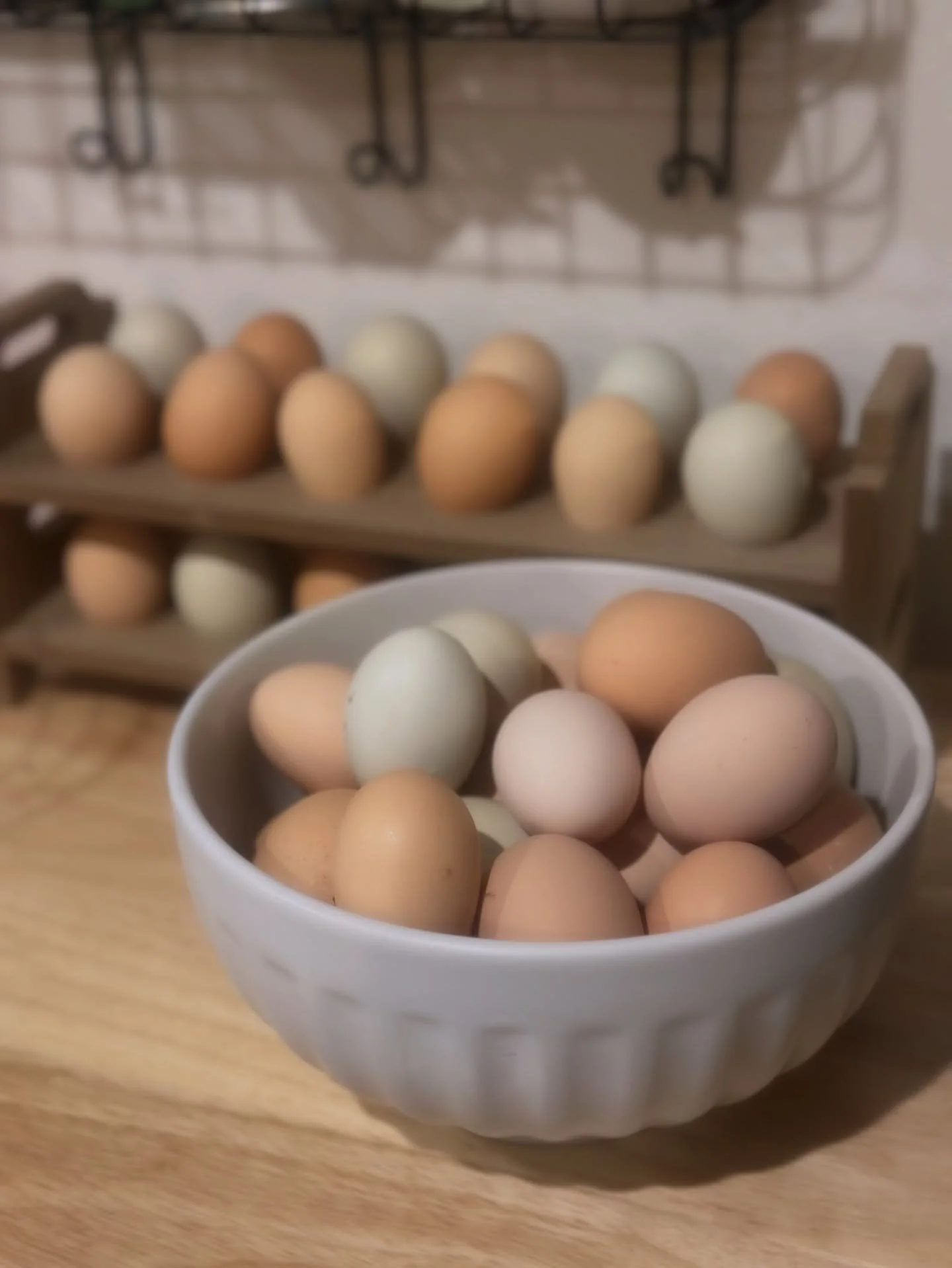 Egg sale! 🥚 the girls have been laying like crazy so we are having a sale. 2 dozen for $10. Pick up on the farm or we can deliver to EC or E/S. Just shoot us a message to claim yours! Happy Monday ☺️