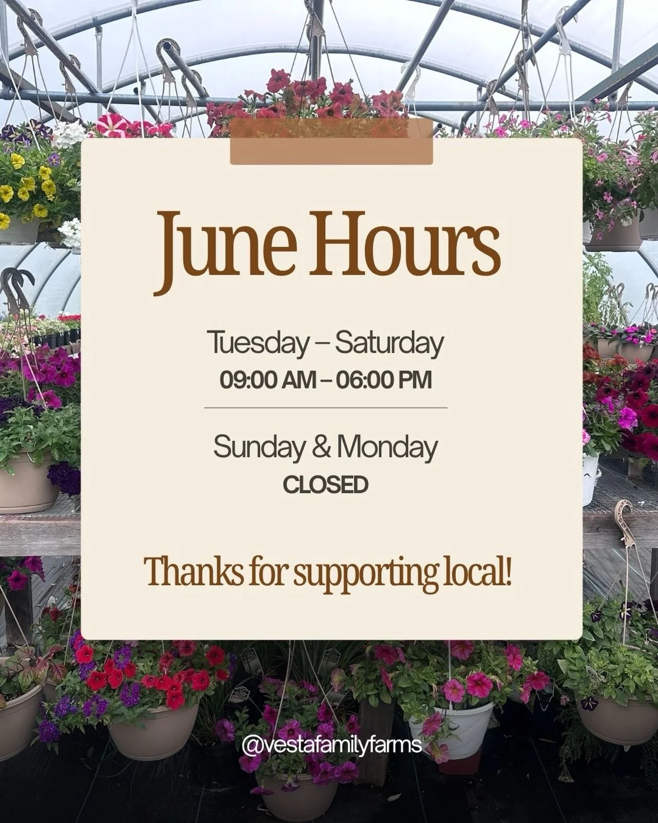 Come see us tomorrow, more is on sale! 

#greenhouse #greenhousegardening #greenhousegrown #flowerseason