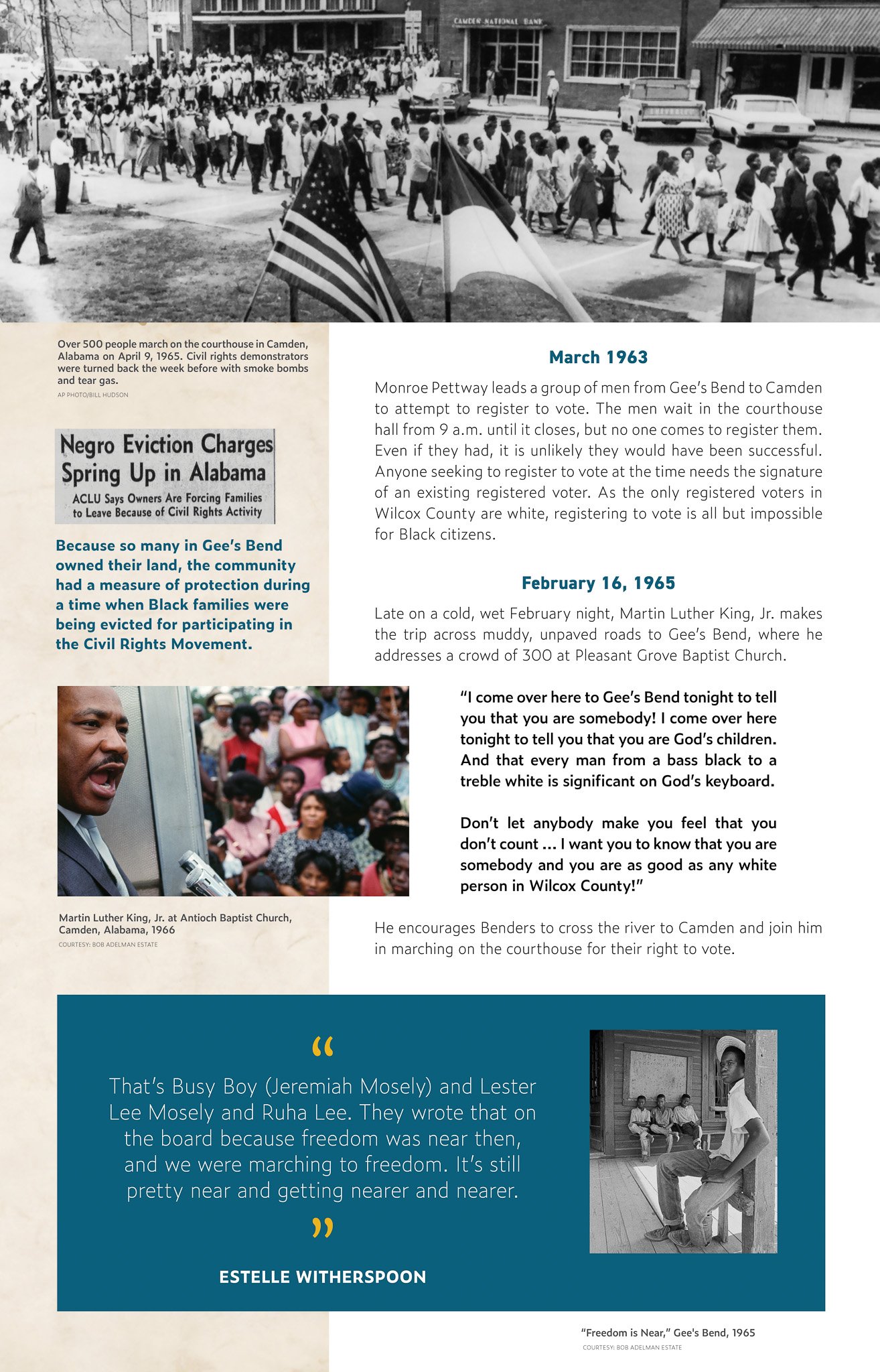 timeline_sheets_complete_panels8.jpg