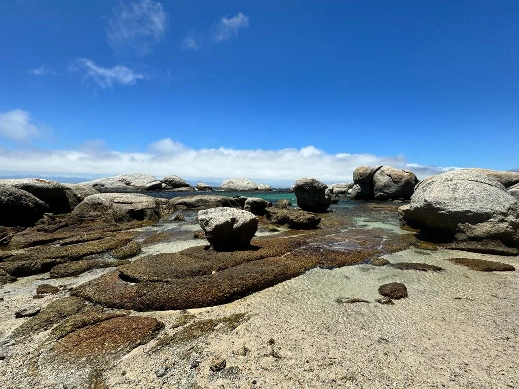 WhatsApp Image 2024-01-15 at 12.52.19 (3).jpeg