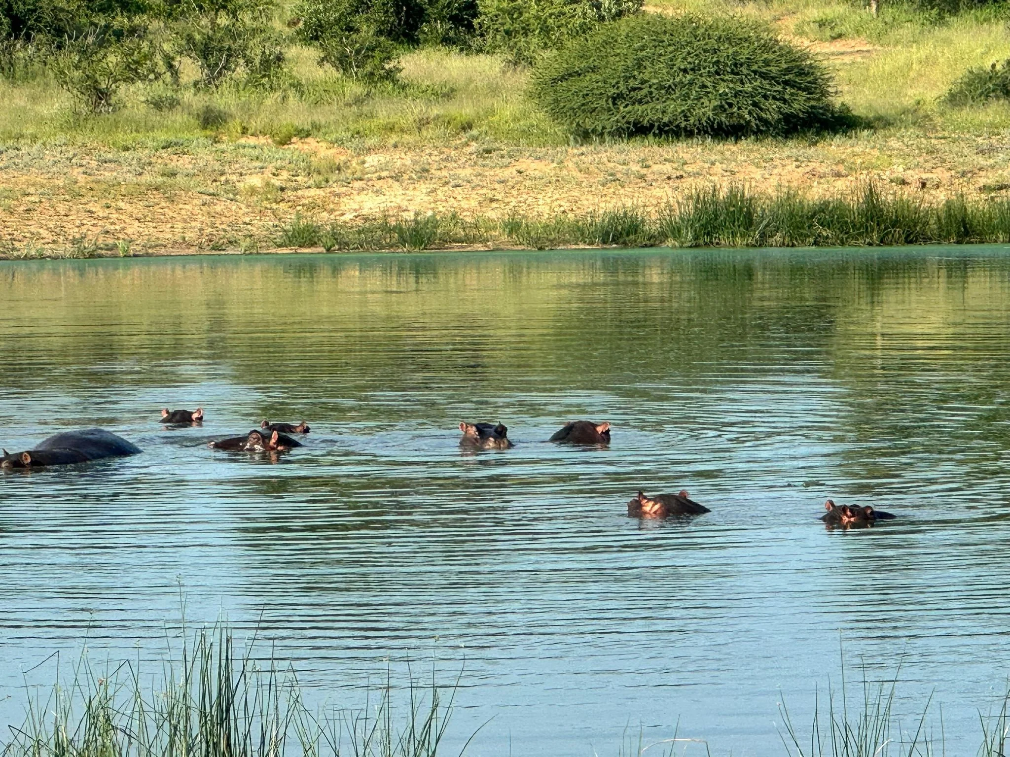 WhatsApp Image 2024-01-16 at 21.28.49.jpeg