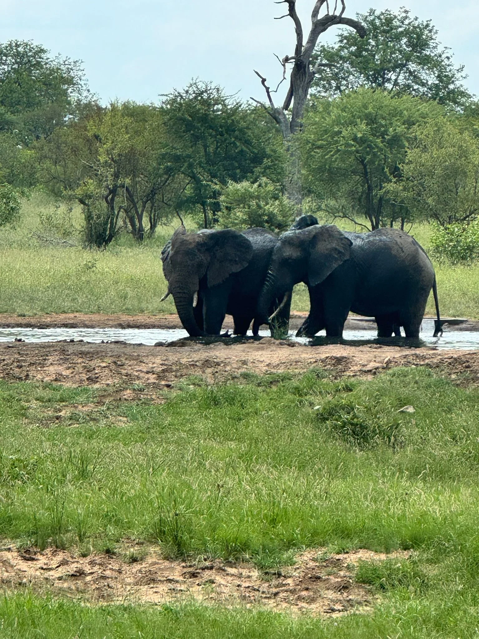 WhatsApp Image 2024-01-16 at 21.28.49 (1).jpeg