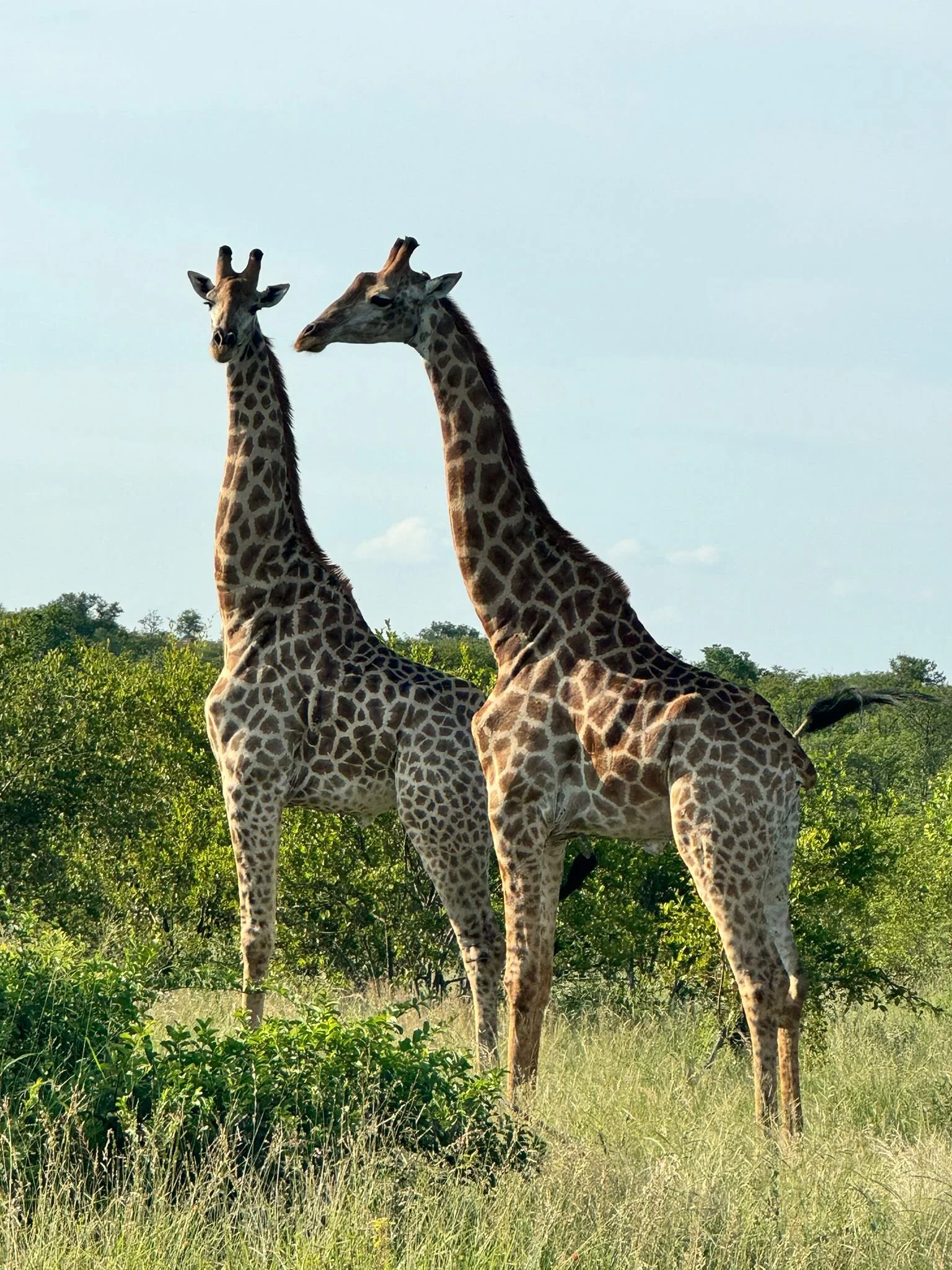 WhatsApp Image 2024-01-16 at 21.28.46.jpeg