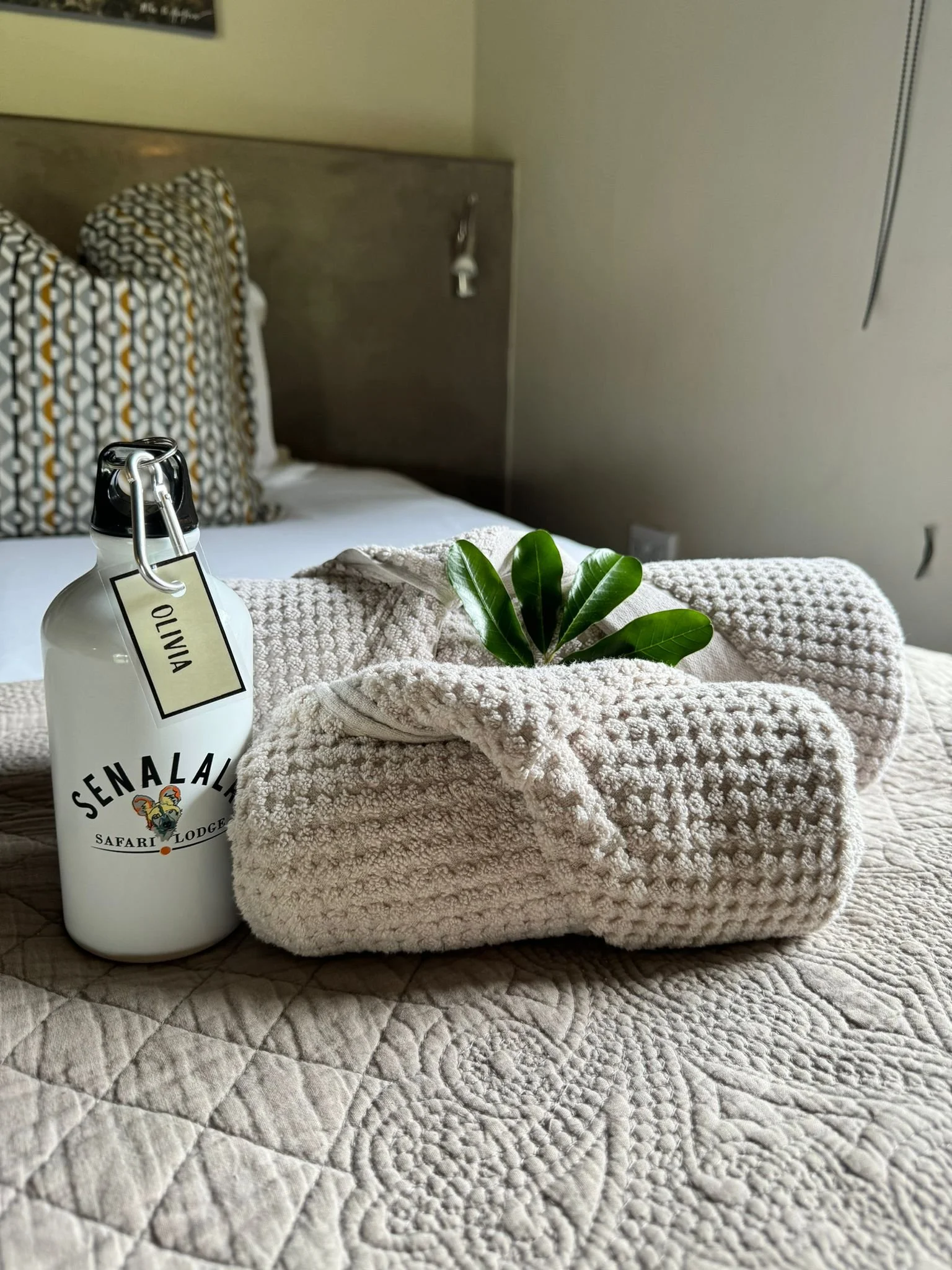 WhatsApp Image 2024-01-16 at 21.28.46 (1).jpeg