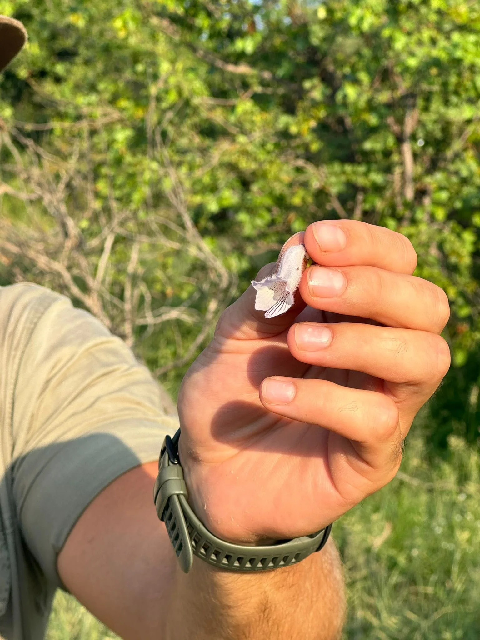 WhatsApp Image 2024-01-16 at 21.28.45.jpeg