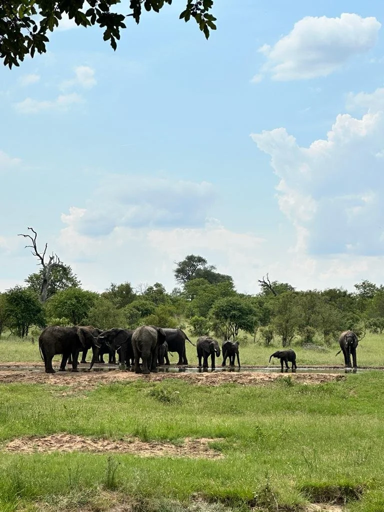 WhatsApp Image 2024-01-15 at 11.42.12 (5).jpeg