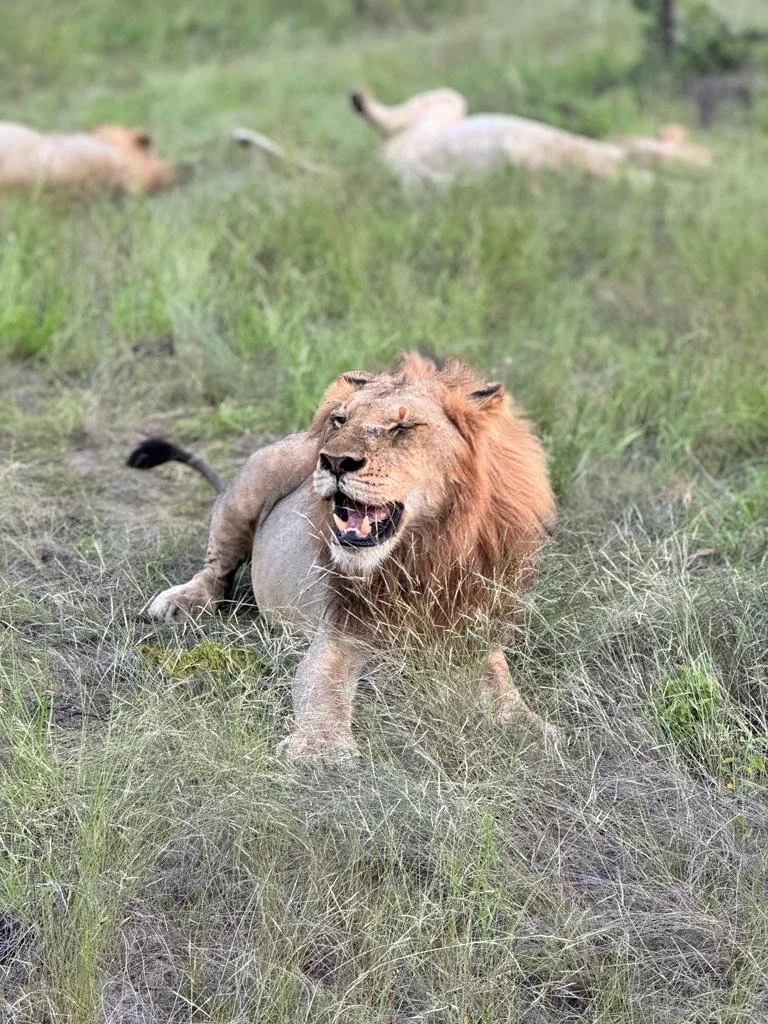 WhatsApp Image 2024-01-15 at 11.42.12.jpeg