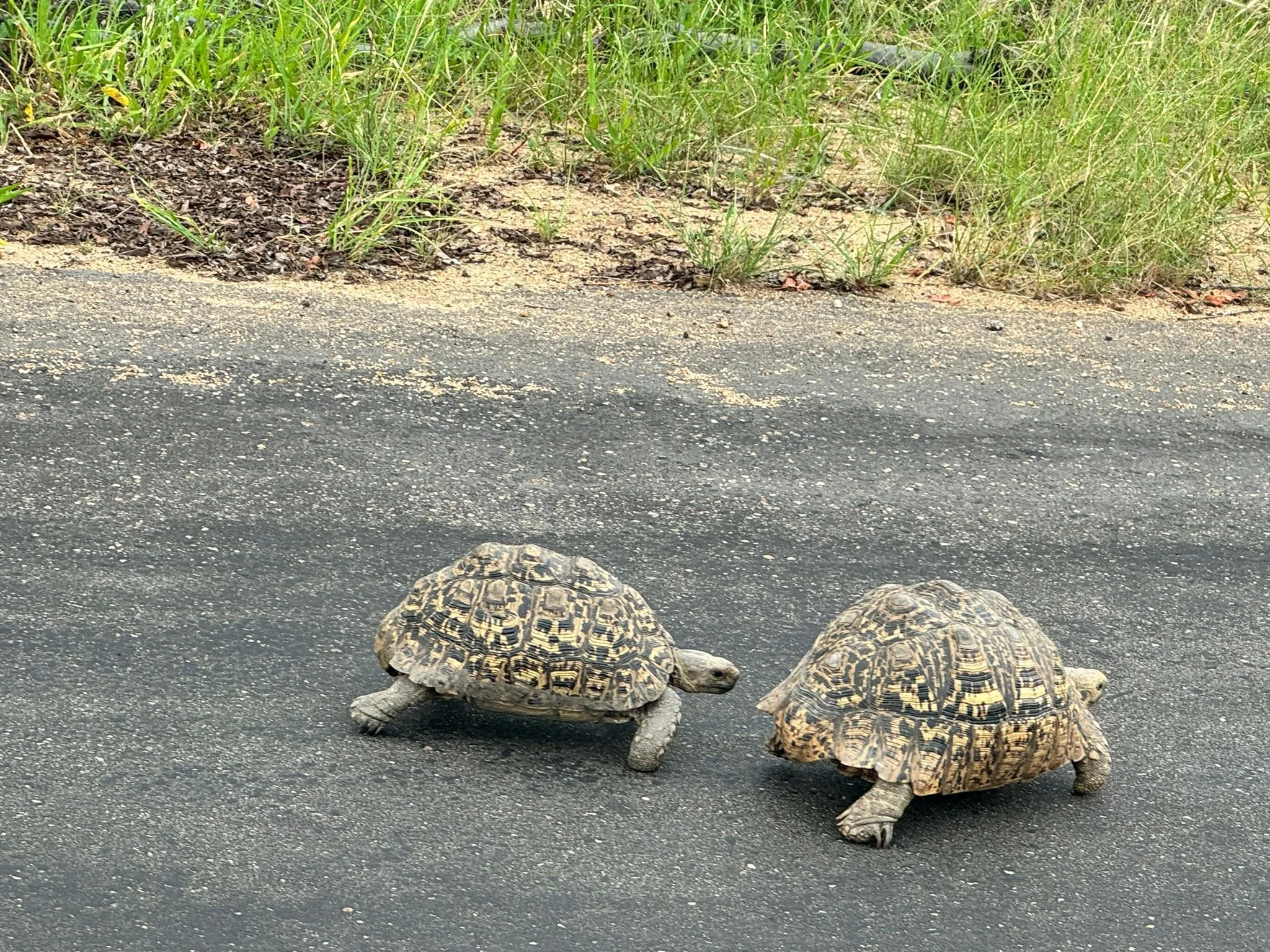 WhatsApp Image 2024-01-16 at 21.33.13.jpeg