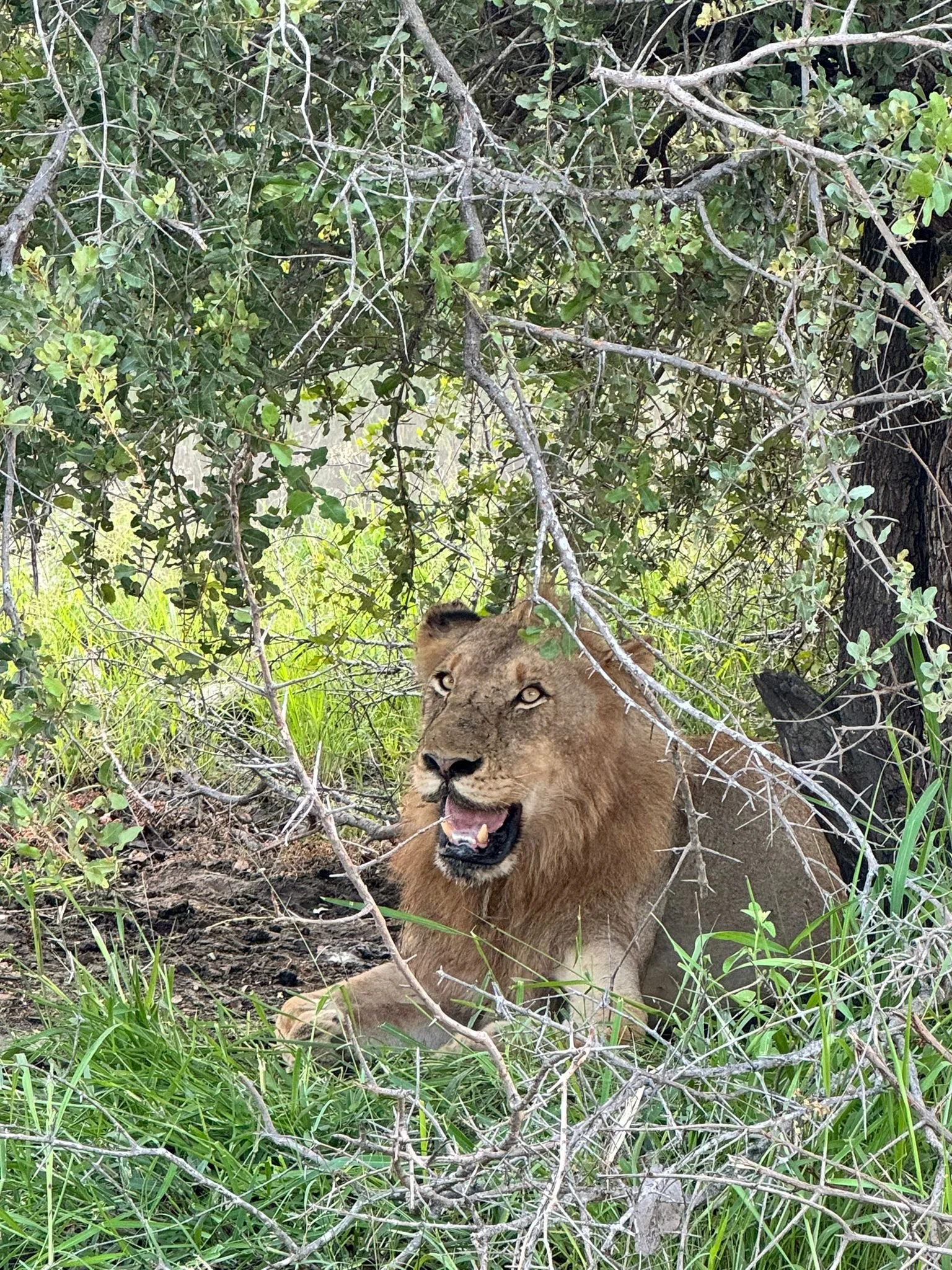 WhatsApp Image 2024-01-16 at 21.33.12.jpeg