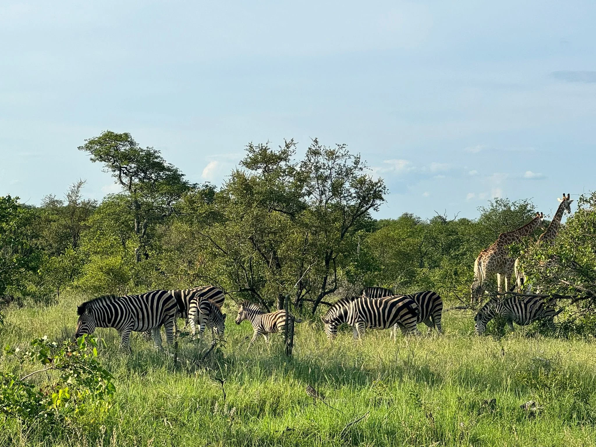 WhatsApp Image 2024-01-16 at 21.33.12 (1).jpeg