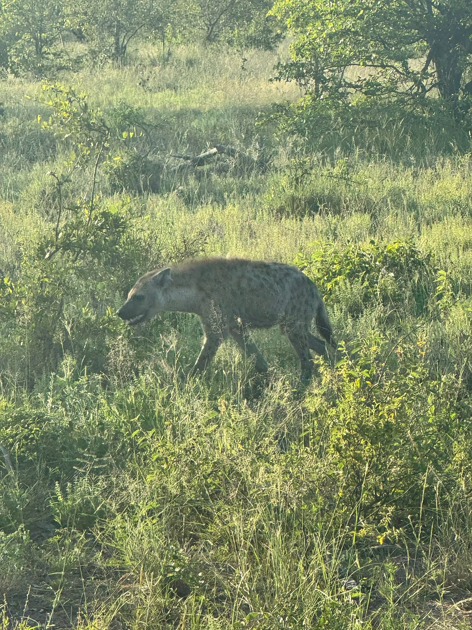 WhatsApp Image 2024-01-16 at 21.32.47.jpeg