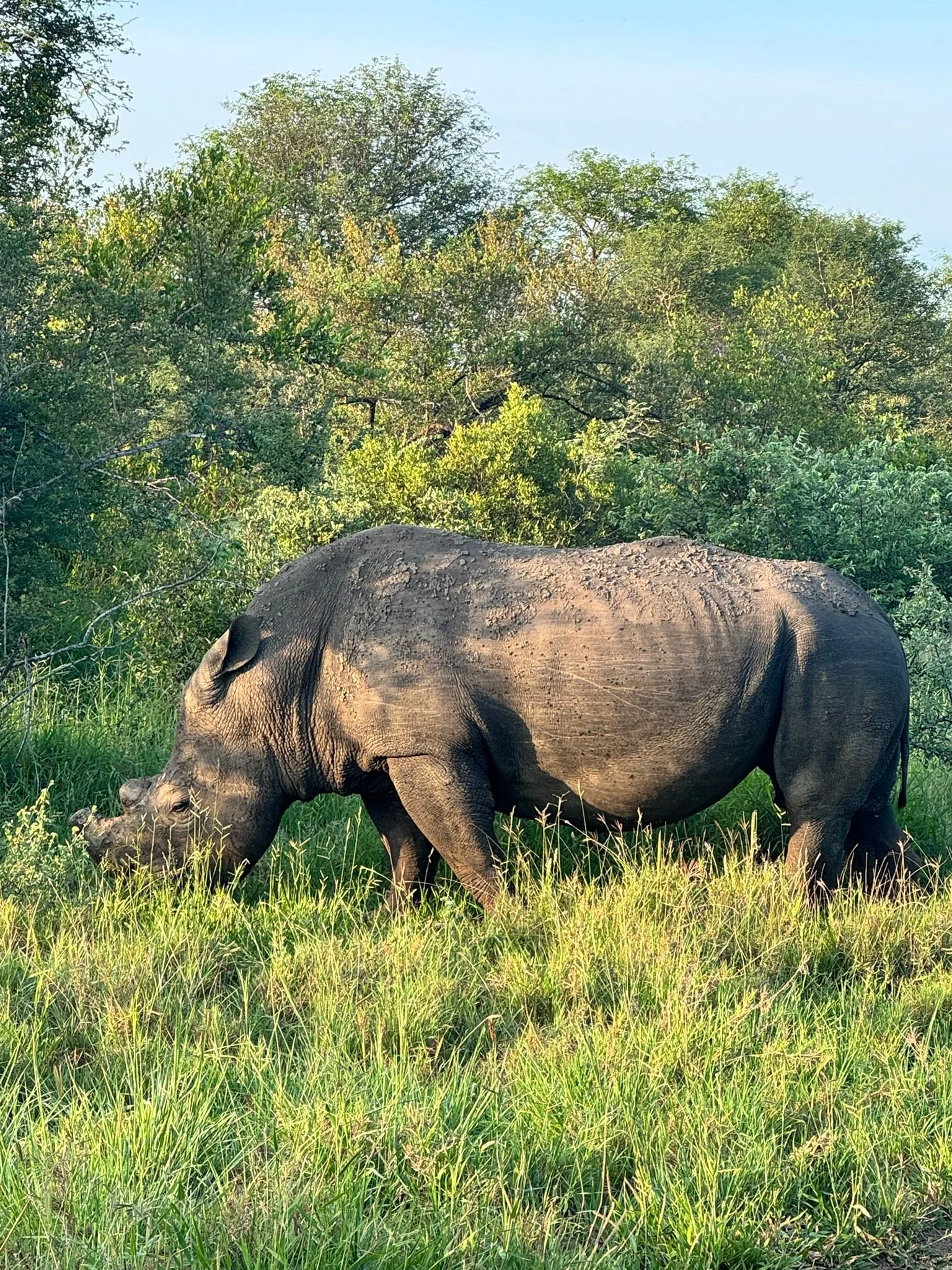 WhatsApp Image 2024-01-16 at 21.32.09.jpeg