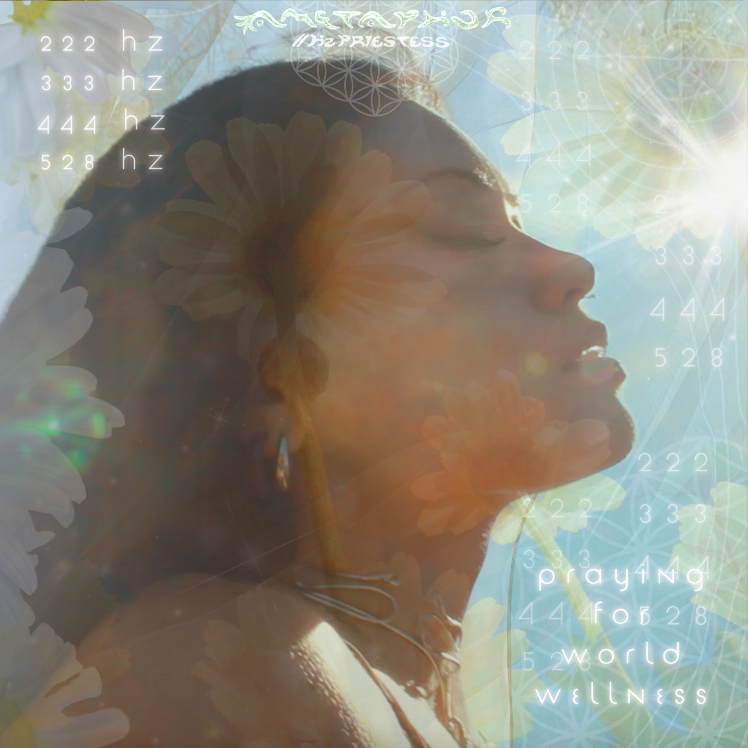 Ametaphor // Hz Priestess - Praying for World Wellness (222Hz, 333Hz, 444Hz, 528Hz) [.WAV DOWNLOAD]