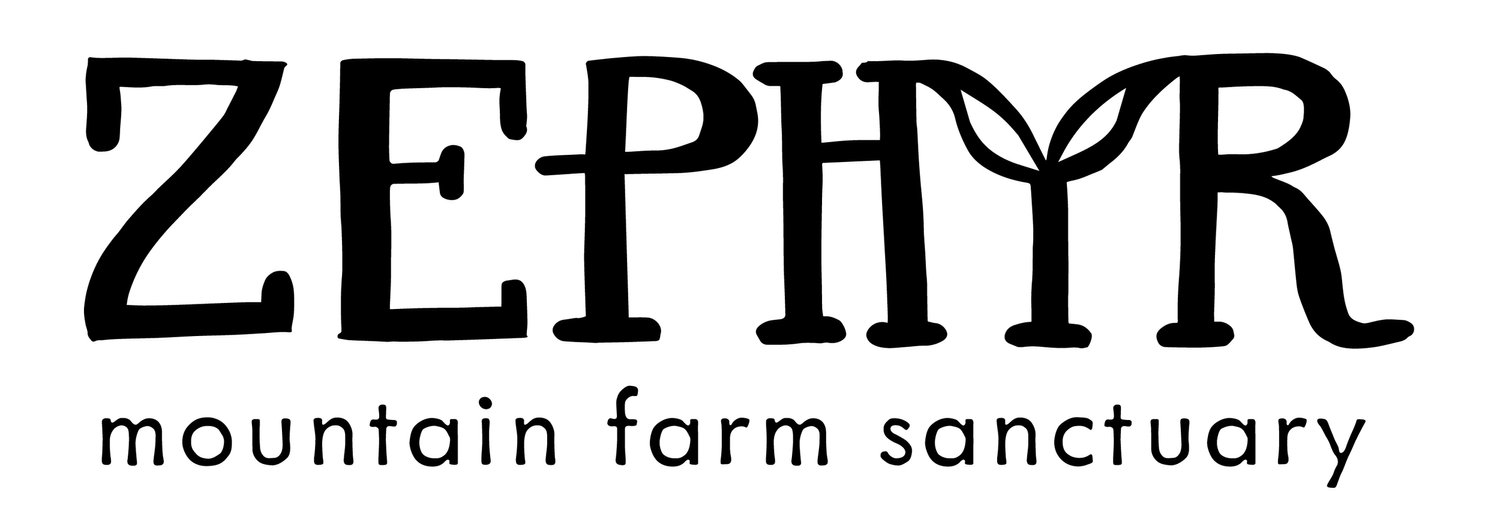 Zephyr Mountain Farm Sanctuary