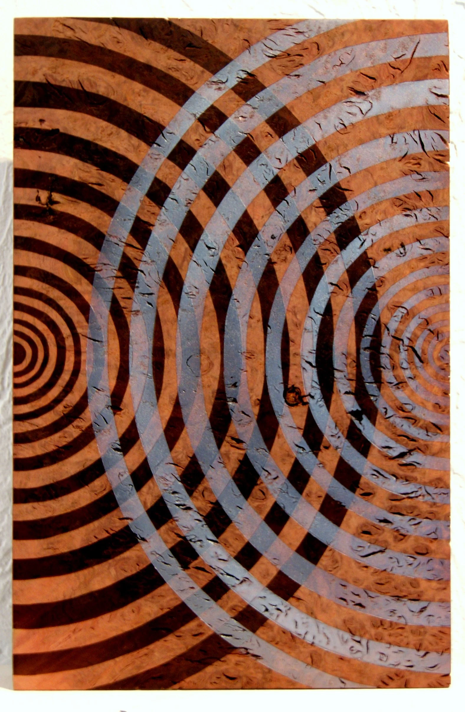 Dispersal
Jarrah Burl and lacquers
30 x 50cm
