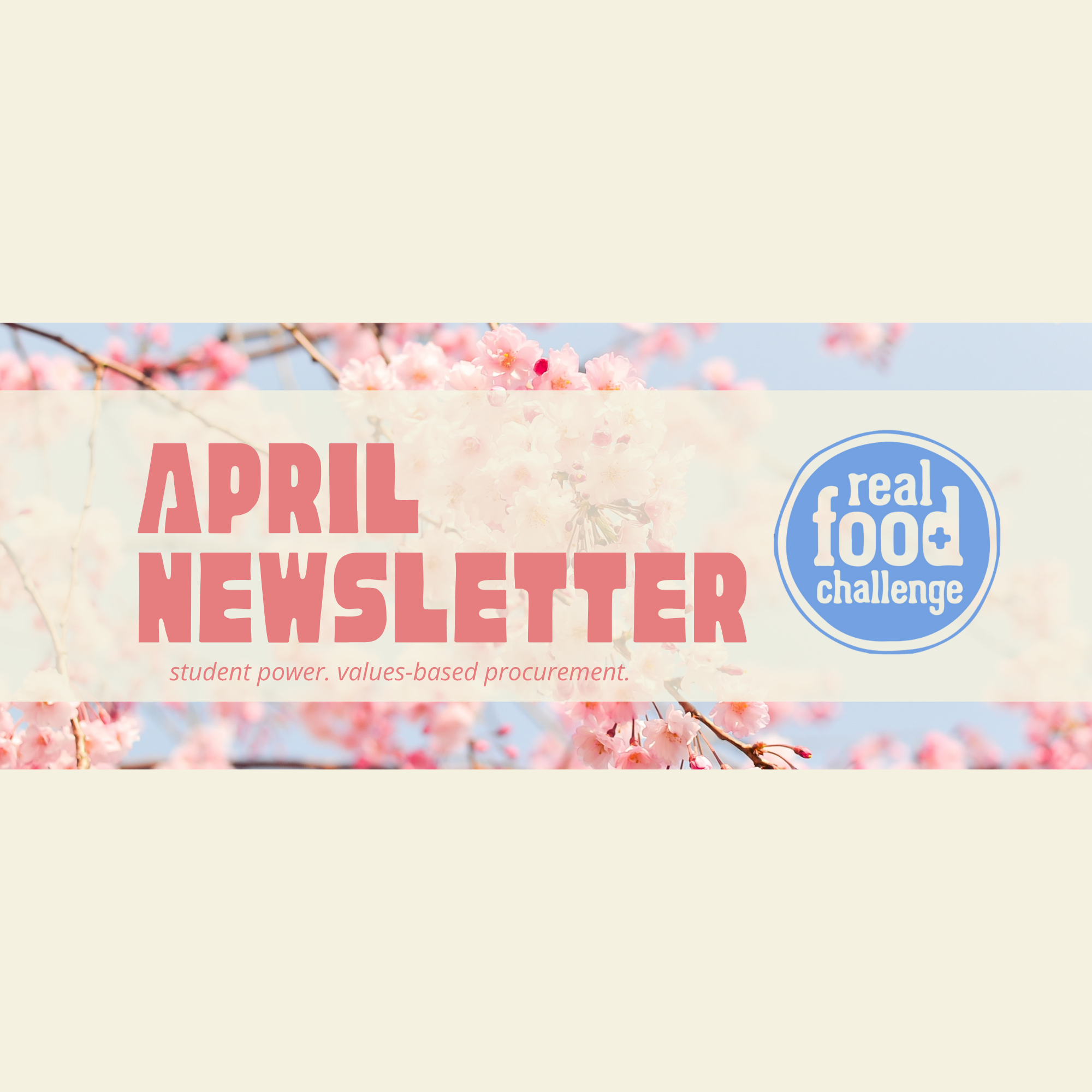 newsletter headers for website (3).png