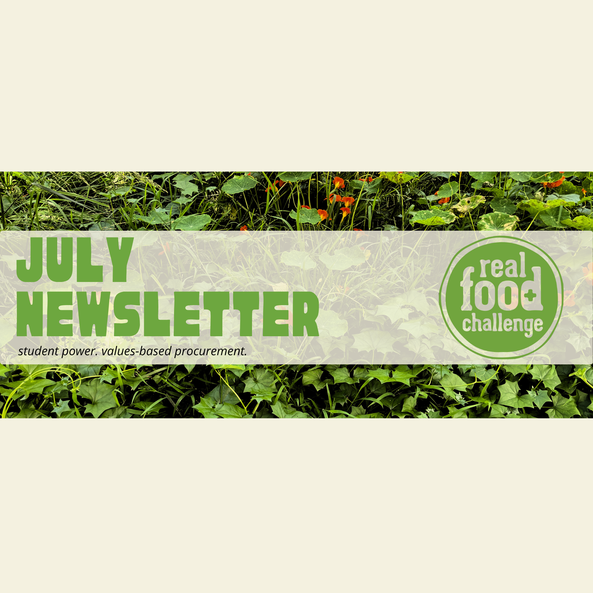 newsletter headers for website (9).png