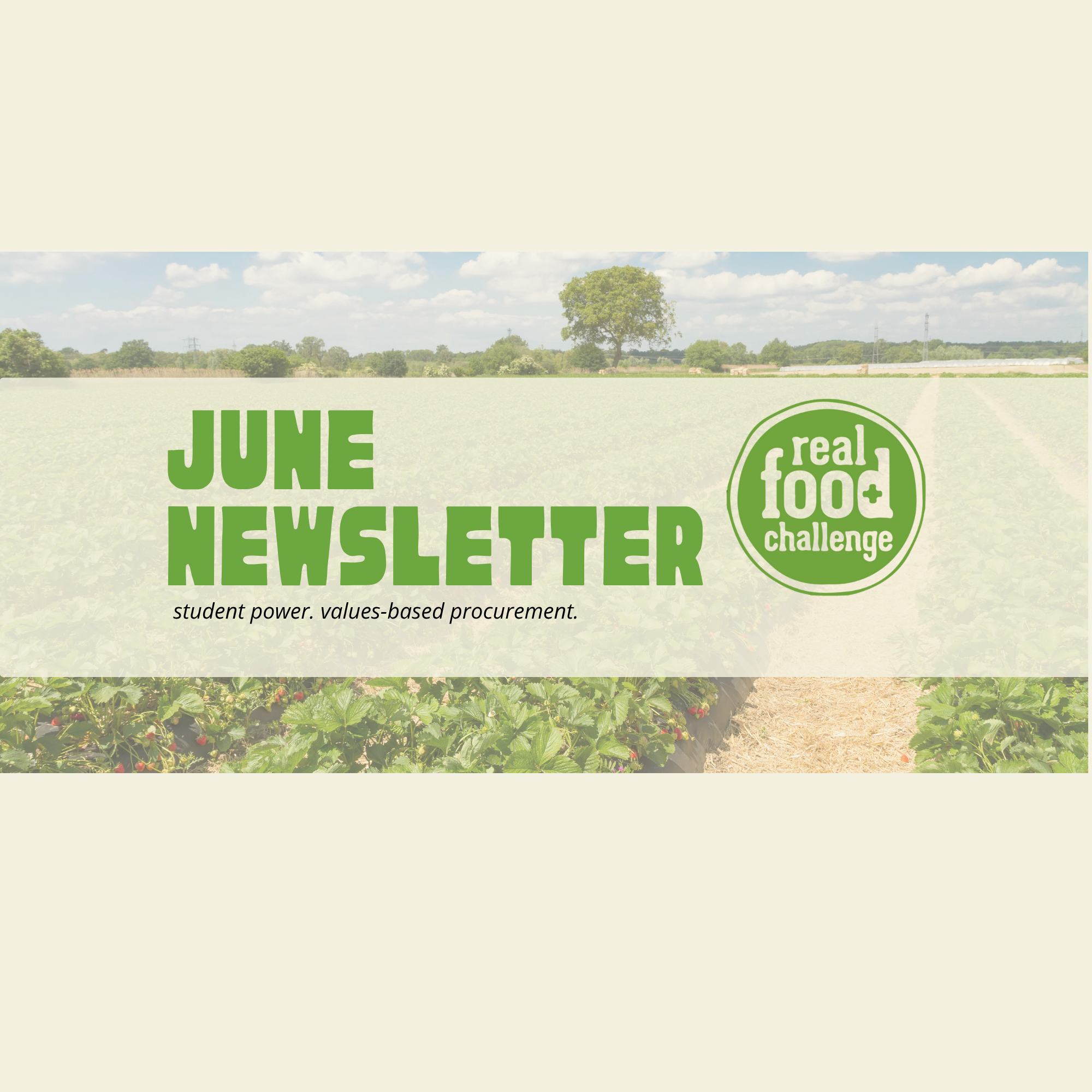 newsletter headers for website (7).png