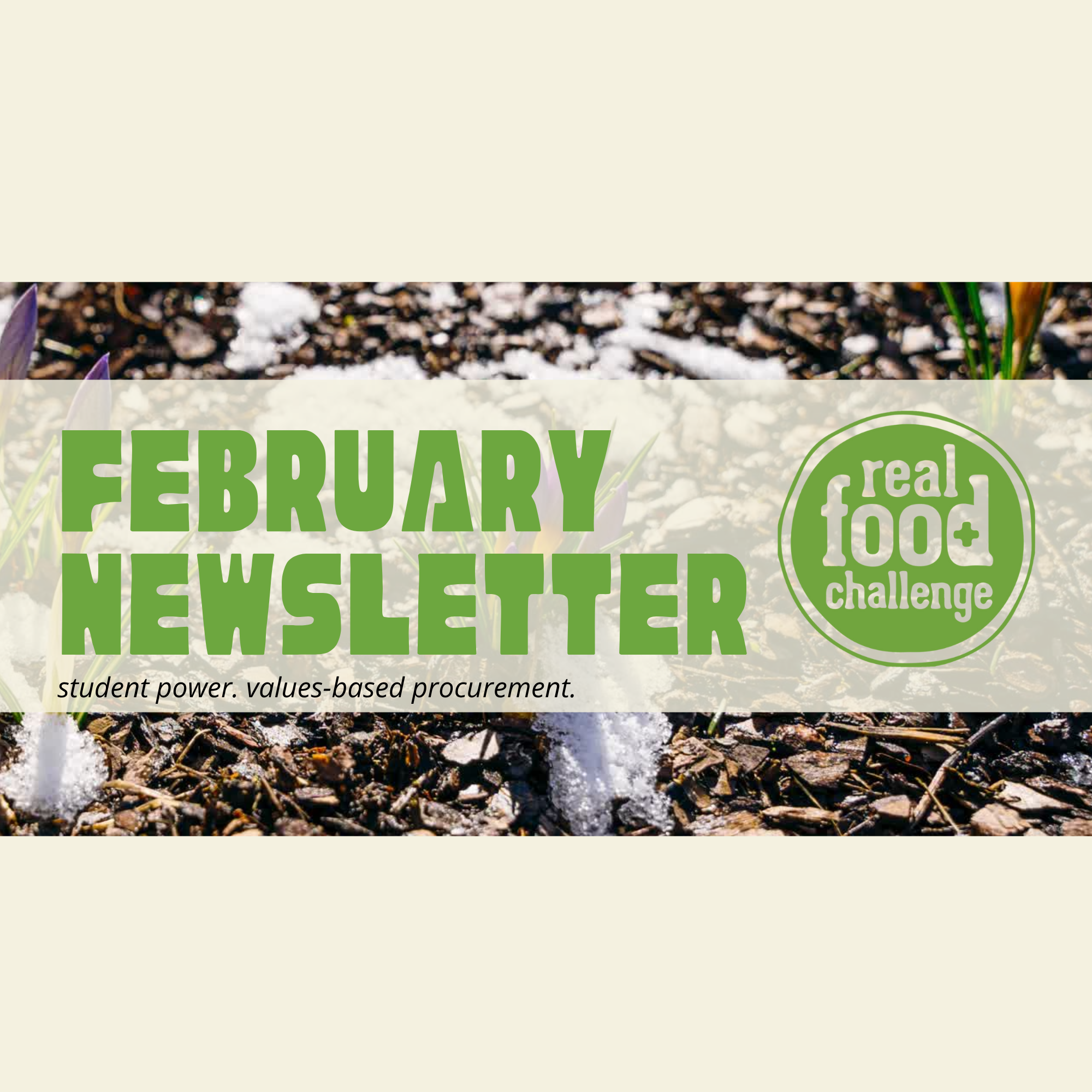 newsletter headers for website (1).png