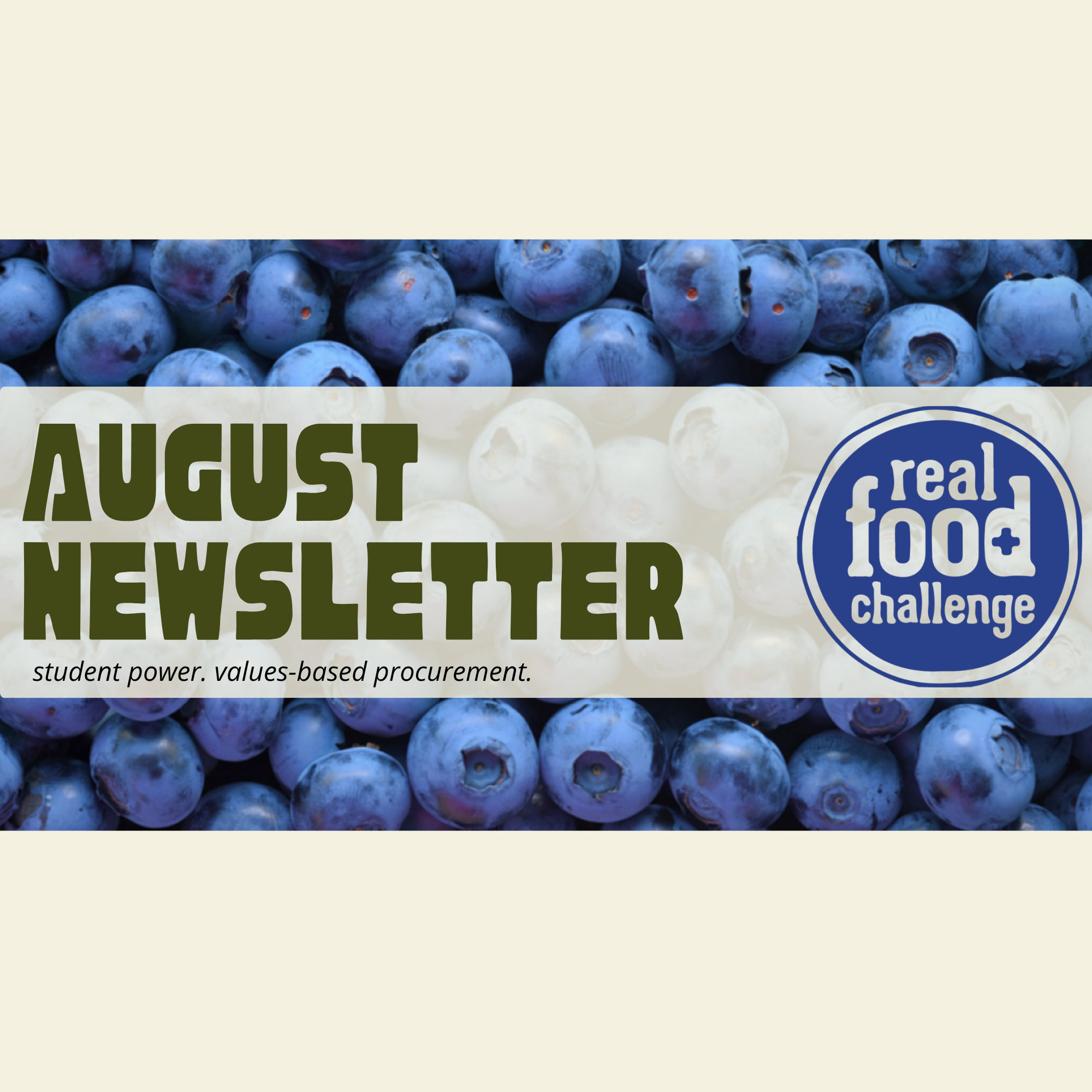 newsletter headers for website.png