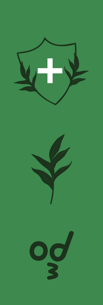 Ginger ale flavor panel with shield, herb and smiley icons on green