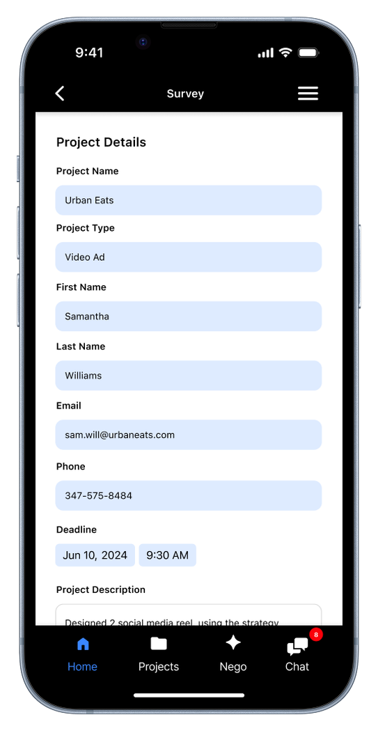 Nego project request form filled in with project name, type, contact details, and deadline.