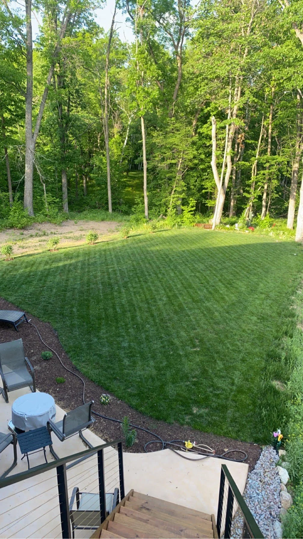A backyard lawn with a curved shape, surrounding a patio area with outdoor furniture, and a wooded area with tall trees in the background.